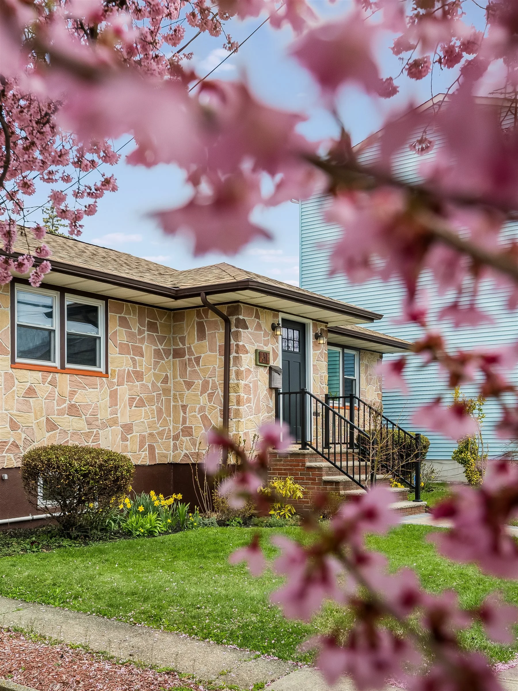 3-81Burnett_cherryblossom-0294.jpg