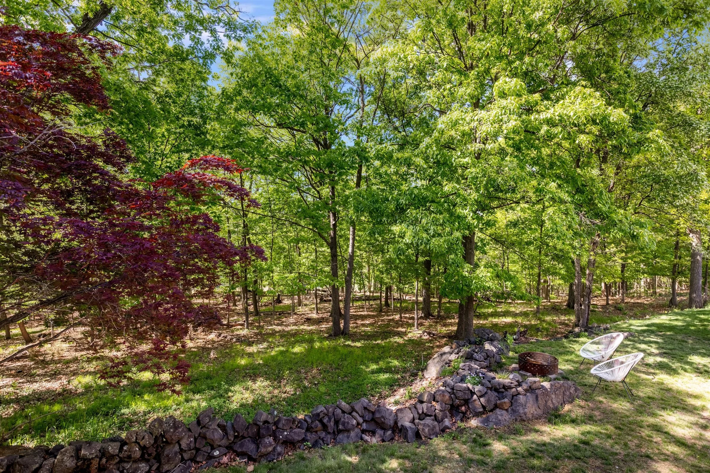 57-Backyard.jpg