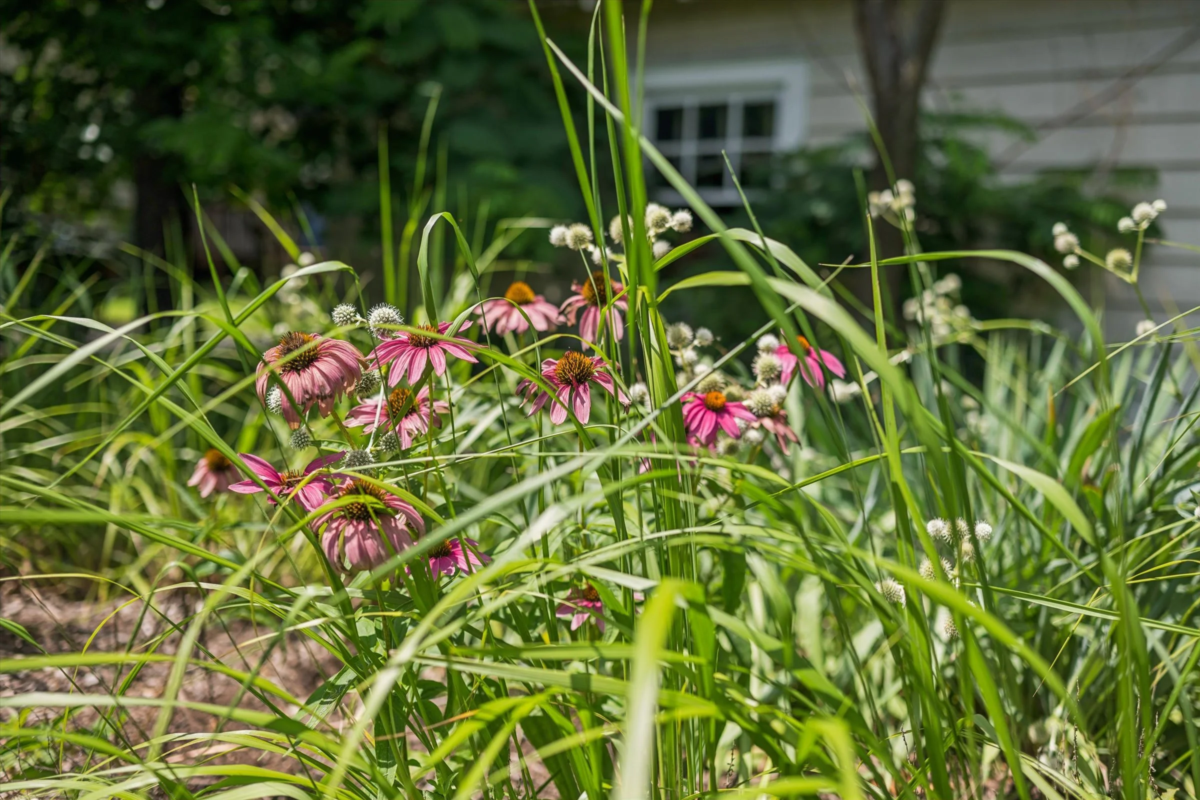 13-LS Garden.jpg
