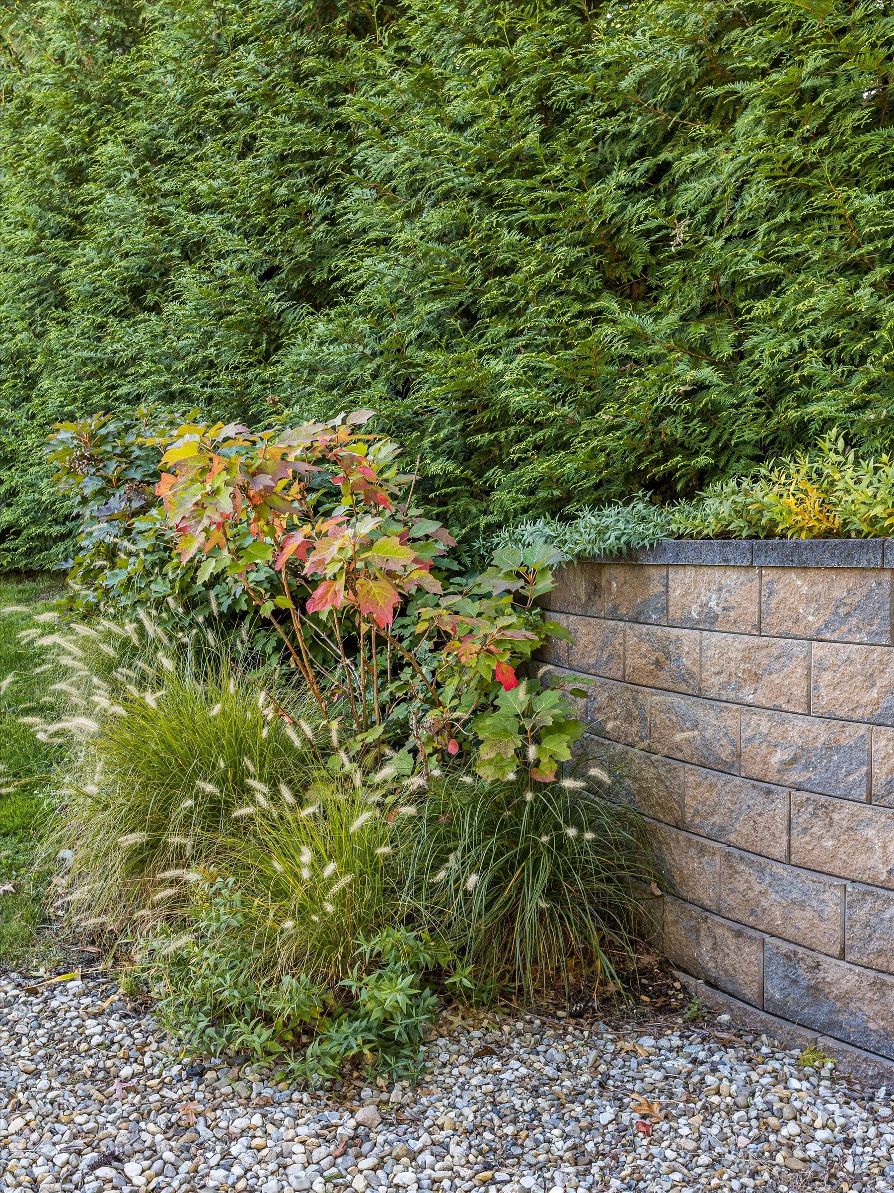 62-Backyard.jpg