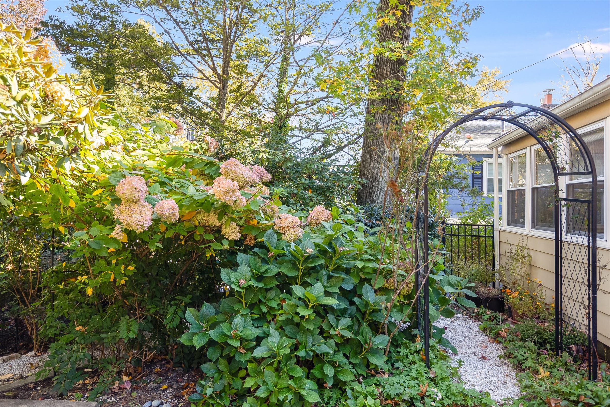61-Backyard.jpg