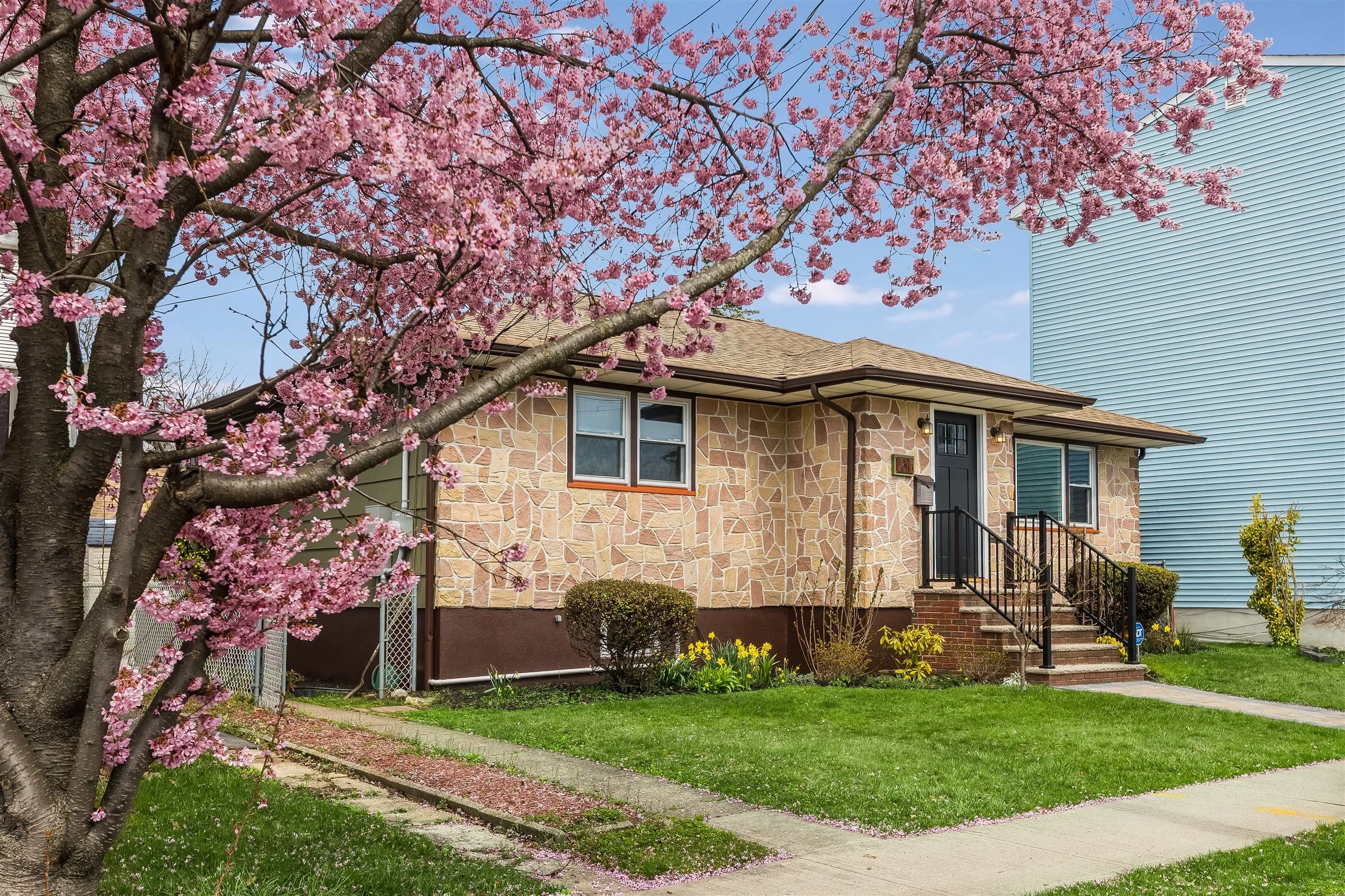 Best Realtor in Maplewood, Cherry Blossom
