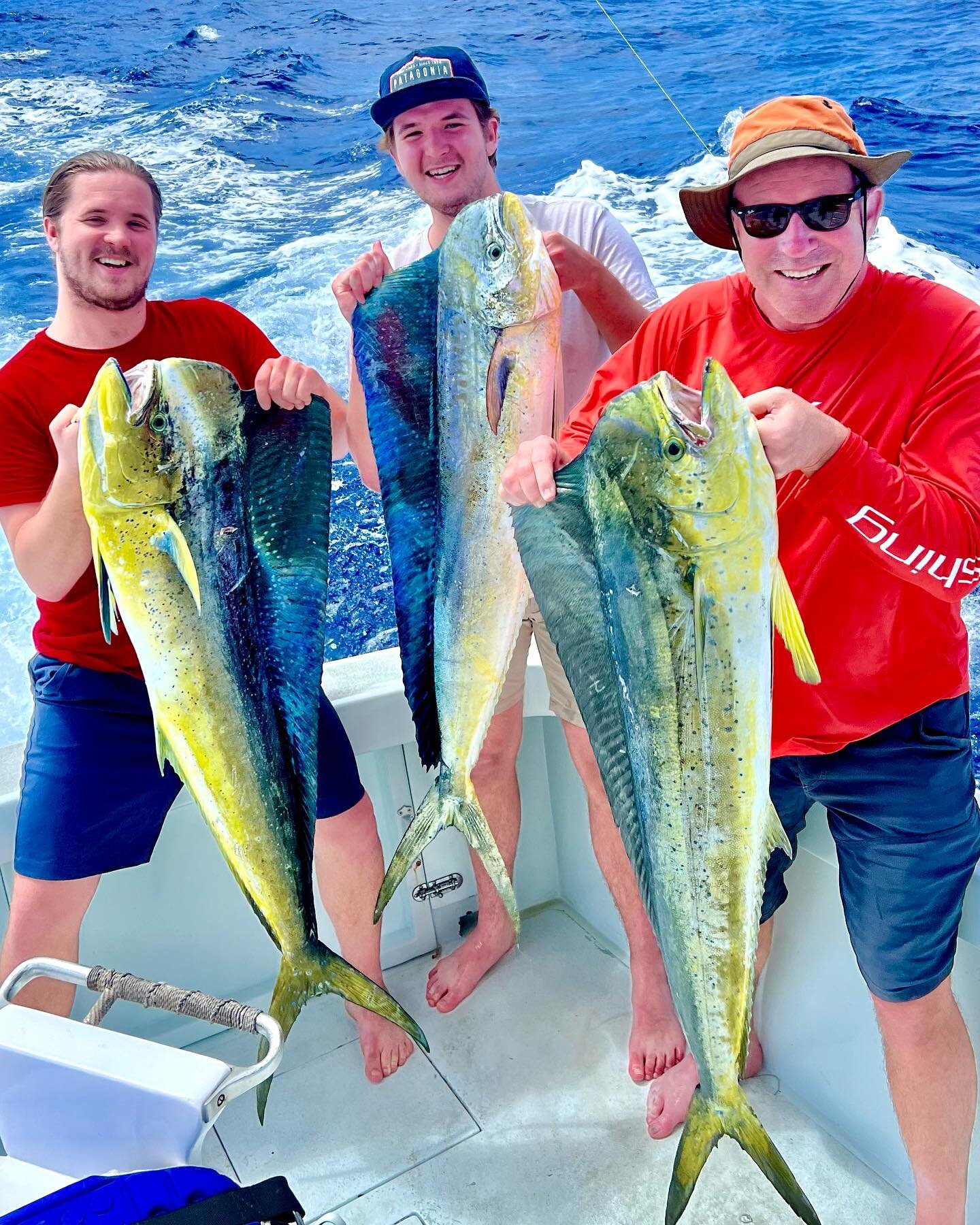 Three up, three down!
.
#SEABABYIII #dinner #mahimahi #mahi #kona #hawaii #fishinghawaii #fishing #konasportfishing #konasportfishingcharters #konafishing #biggamefishing #bloodonthedeckfishinthebox #konafishingcharters #ahi #yellowfin #tuna #funai#m