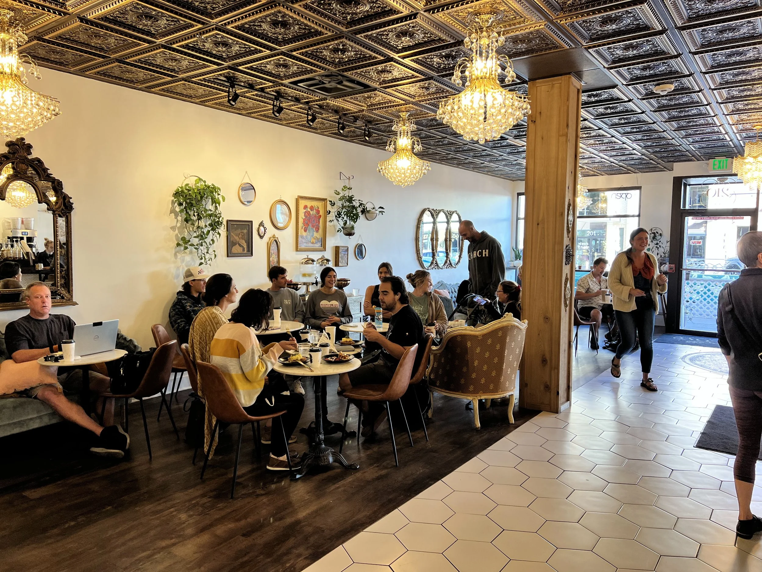 Best Coffee Shops in NOCO