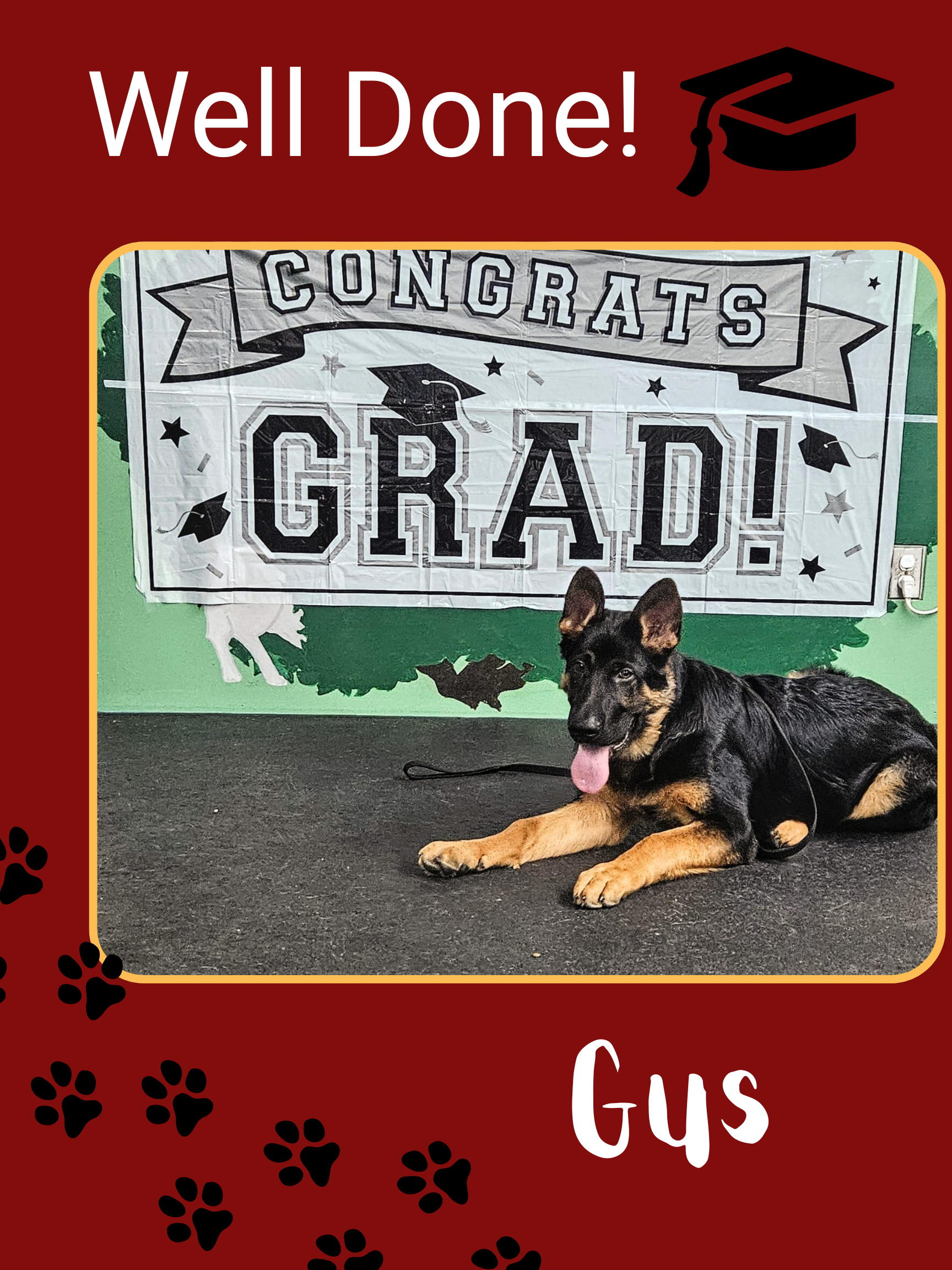 Gus the Shepherd