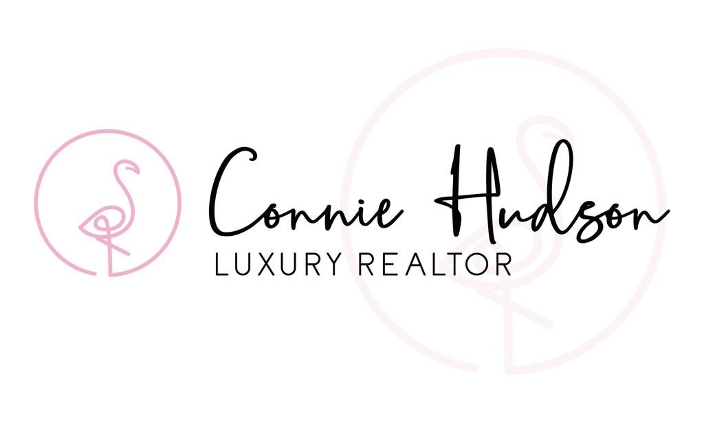 Connie Hudson Realtor 