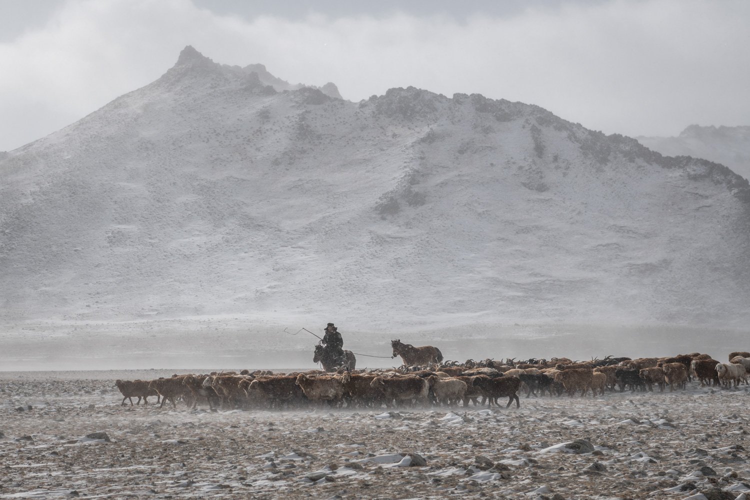74-CT_MONGOLIA_OCT2019_2392.jpg