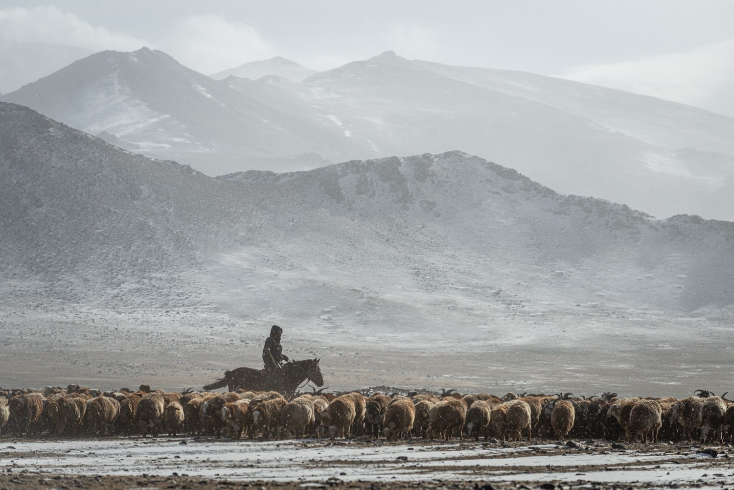 35-CT_MONGOLIA_OCT2019_6533.jpg