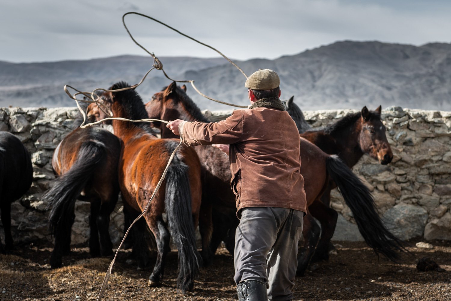 36-CT_MONGOLIA_OCT2019_0622.jpg
