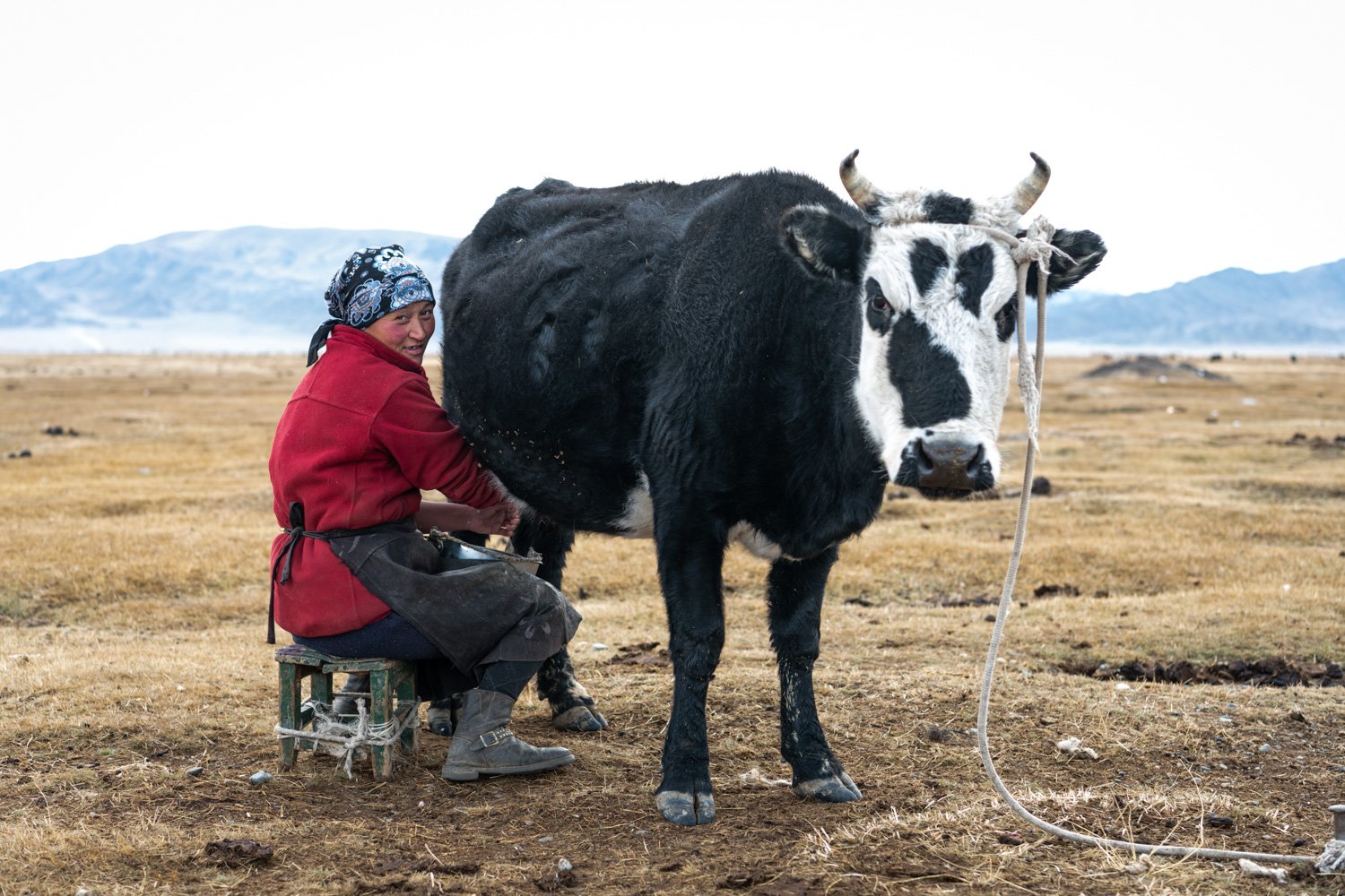 60-CT_MONGOLIA_OCT2019_1554.jpg