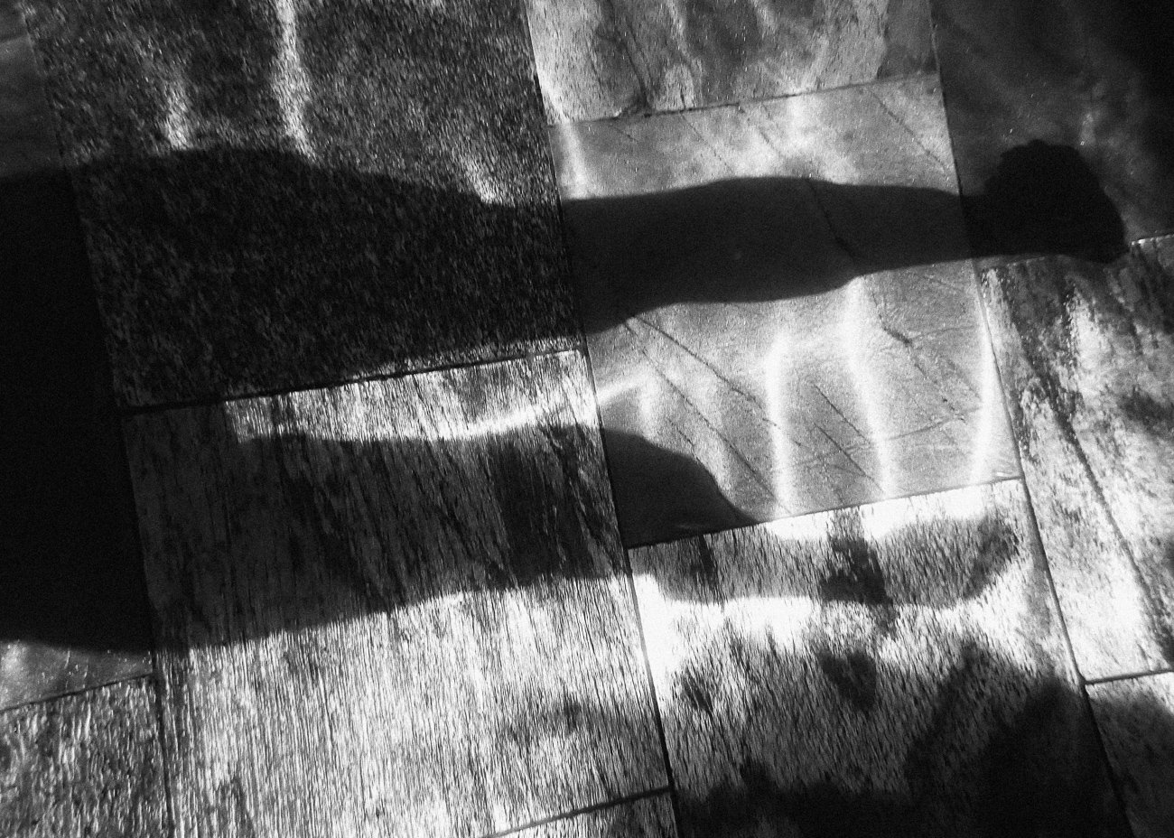 Self Portrait