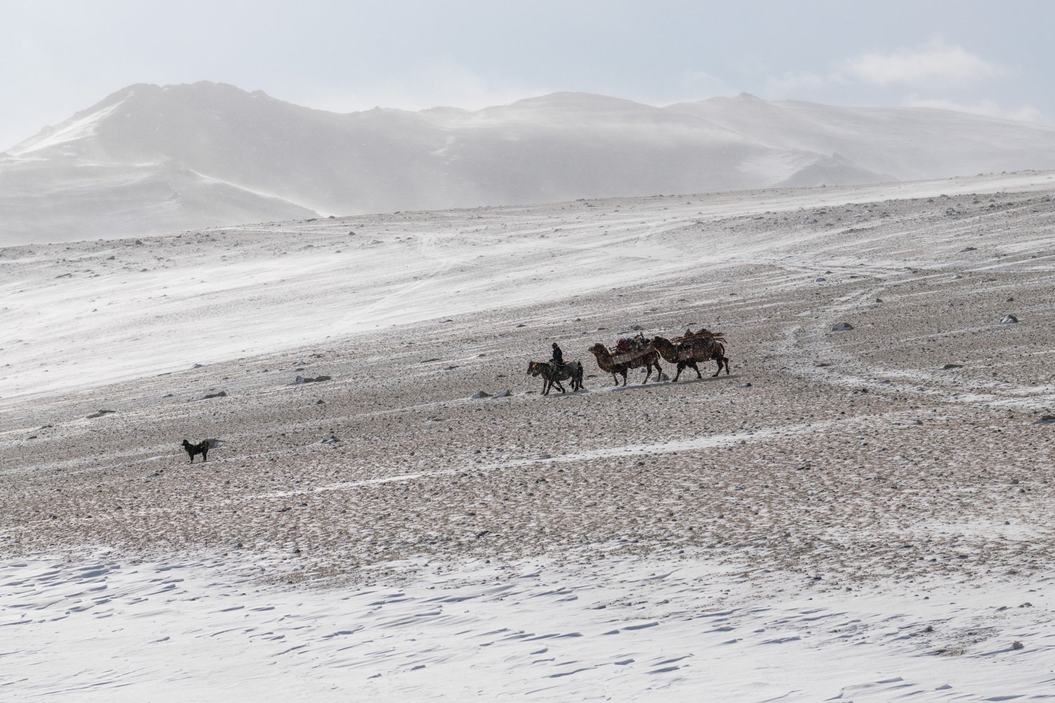 73-CT_MONGOLIA_OCT2019_2388.jpg