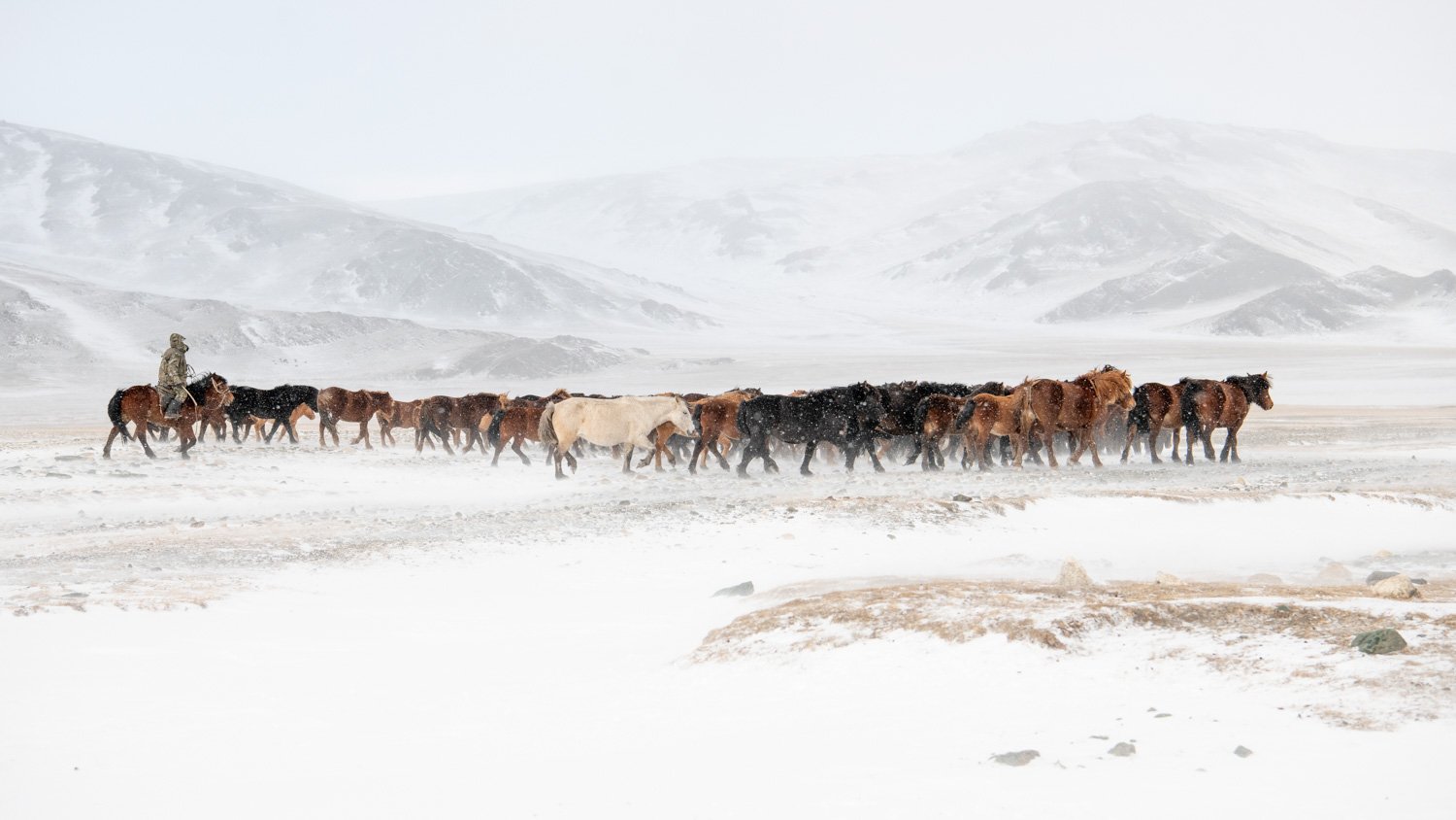 34-CT_MONGOLIA_OCT2019_2519-3.jpg