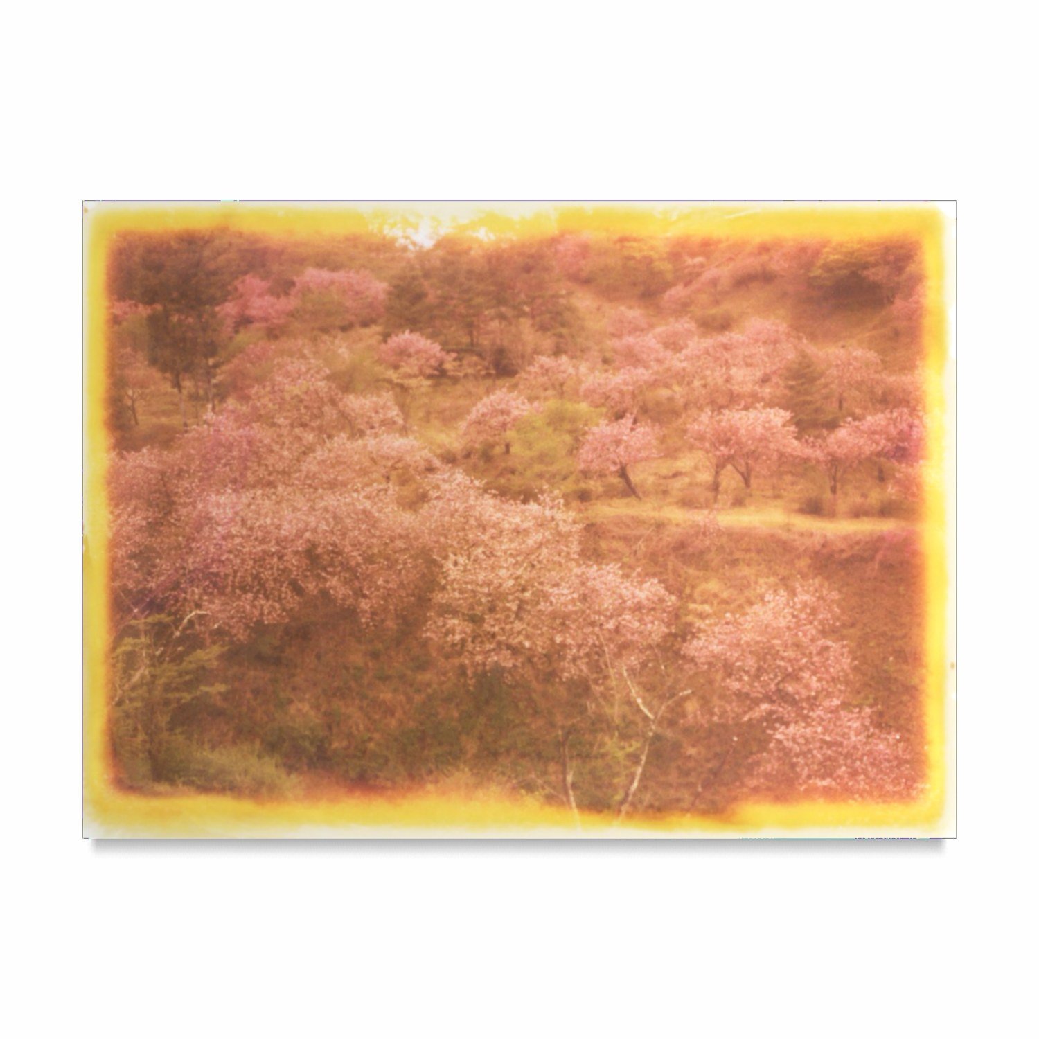 Mount Myōgi 妙義山