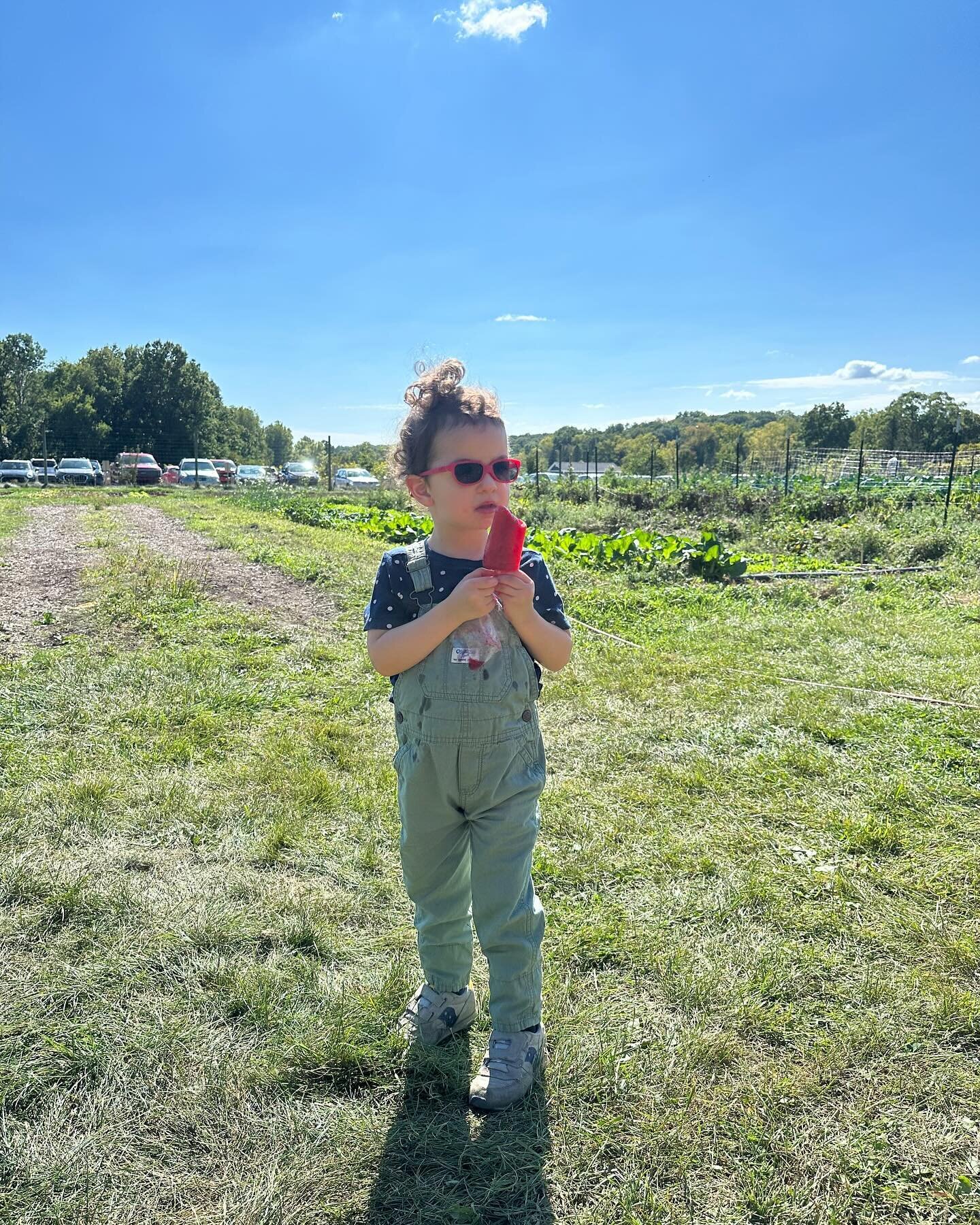 Thank you to Nayiri Mullinix for sharing photos of her toddler with a JB&rsquo;s Ice Pop at the University of Michigan Campus Farm Harvest Fest last year!!