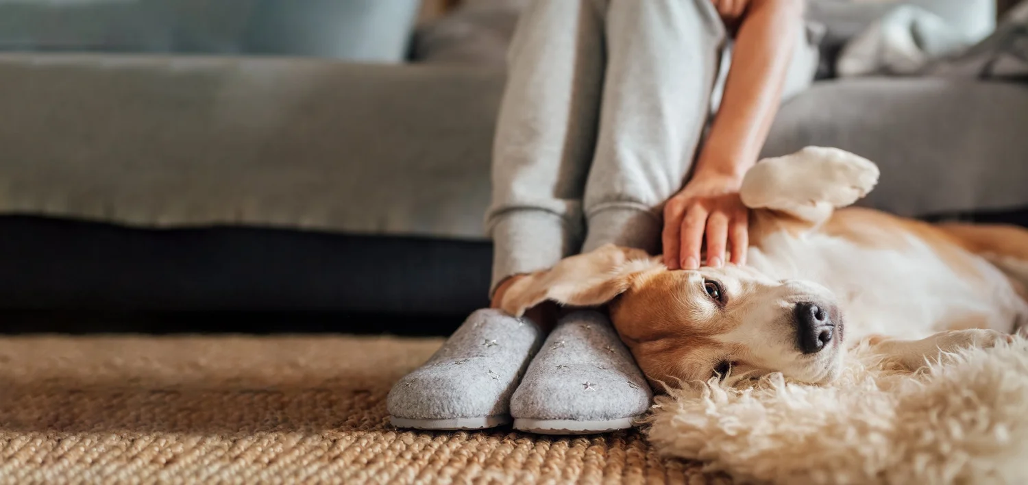 Carpet Cleaning Services Redding Ca. Lain's Carpet Care