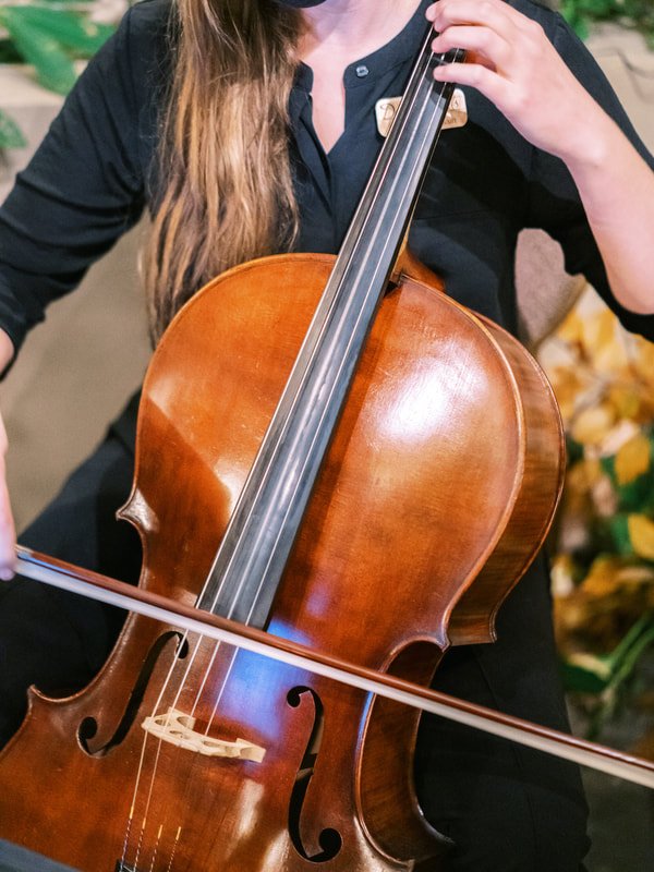 biltmore-wedding-musician-cello.jpg