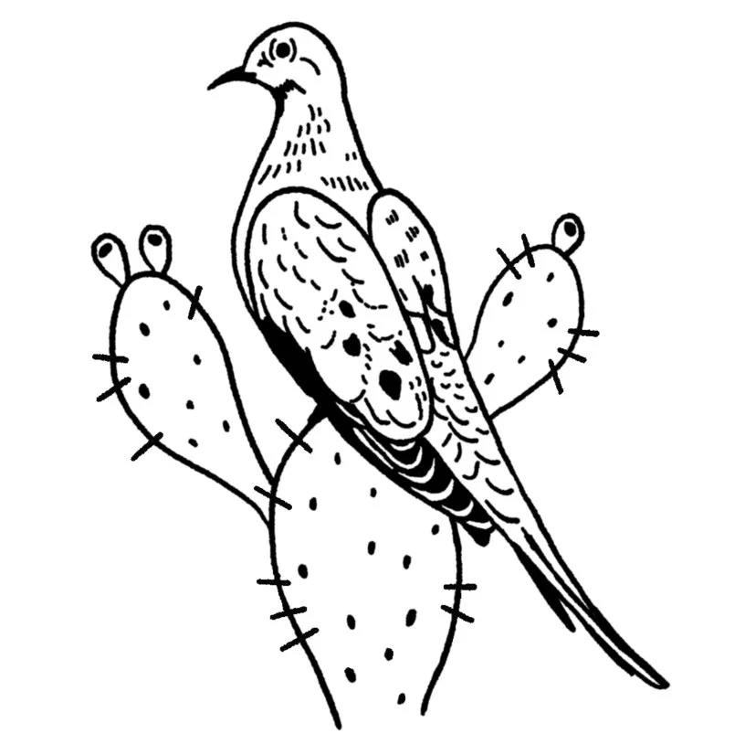 Mourning Dove + Prickly Pear 3-4" // 2.5-4 hours