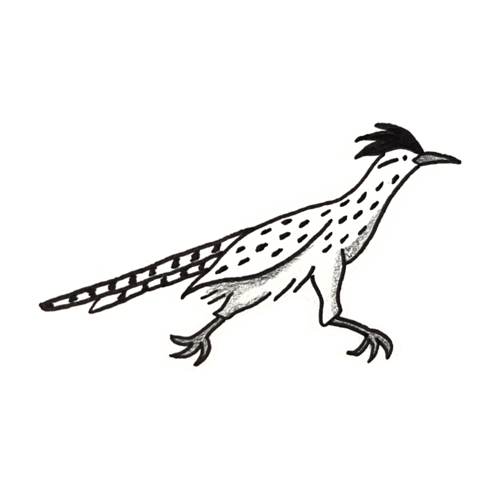 Roadrunner B&G 2.5-3.5" // 1.5-2.5 hours