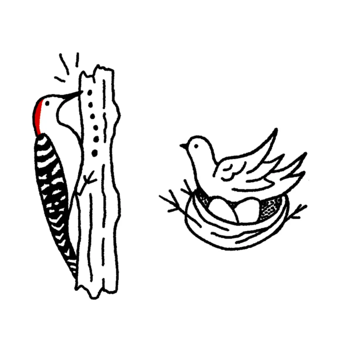 Woodpecker 2.25-2.75" // 1-1.5 hours Bird Mommy 1-1.5" // 1 hour