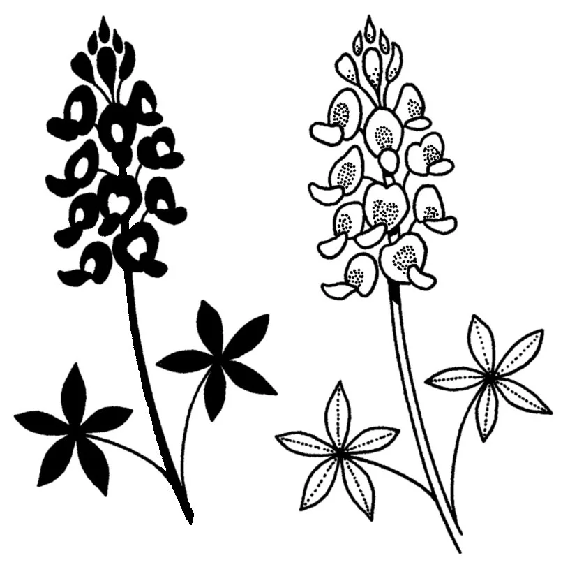 Bluebonnet variations Silhouette: 2.5-3" // 1-2 hours Outline: 3-3.5" // 1.5-2 hours