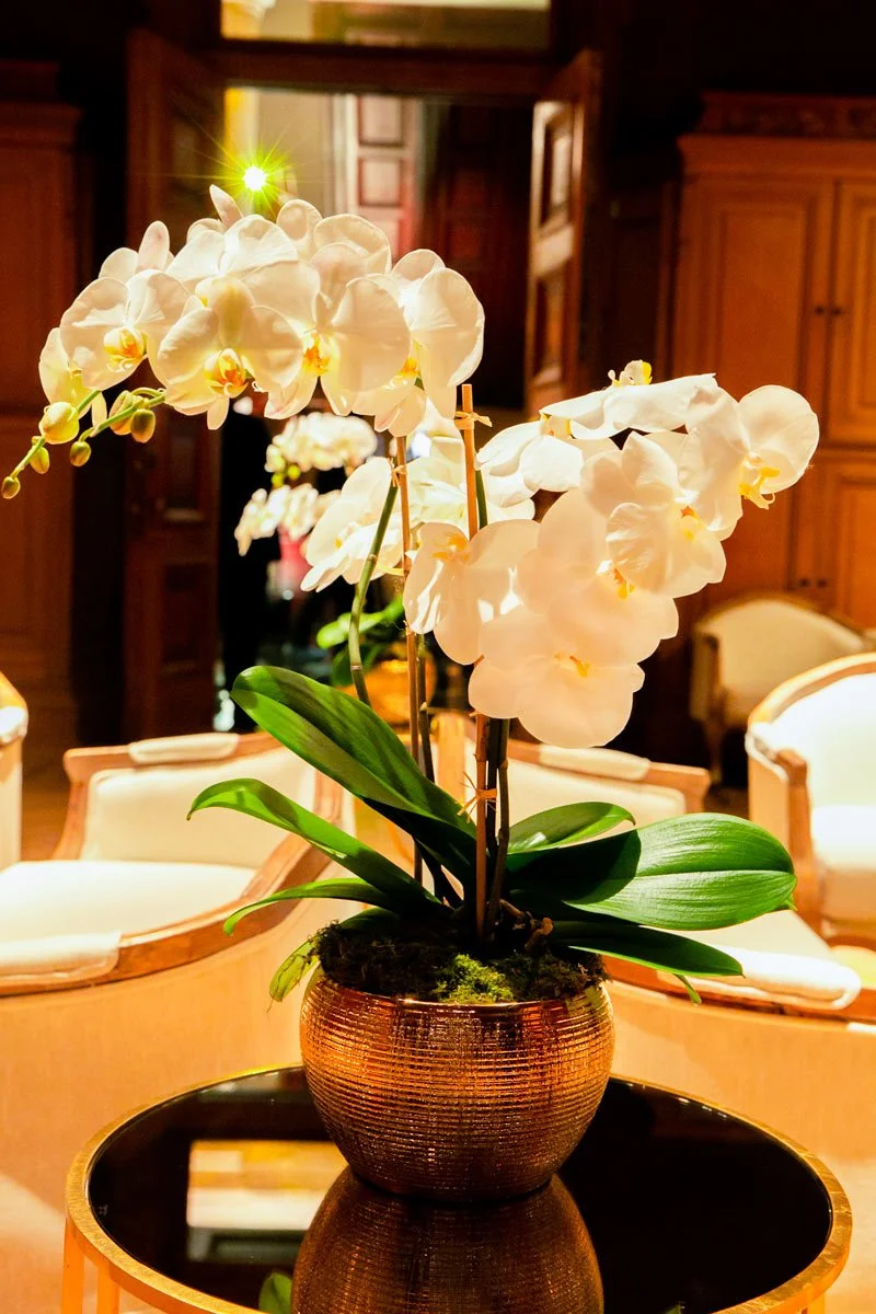  Flowers at Chanel high jewelry dinner at Park Avenue Armory in NYC 