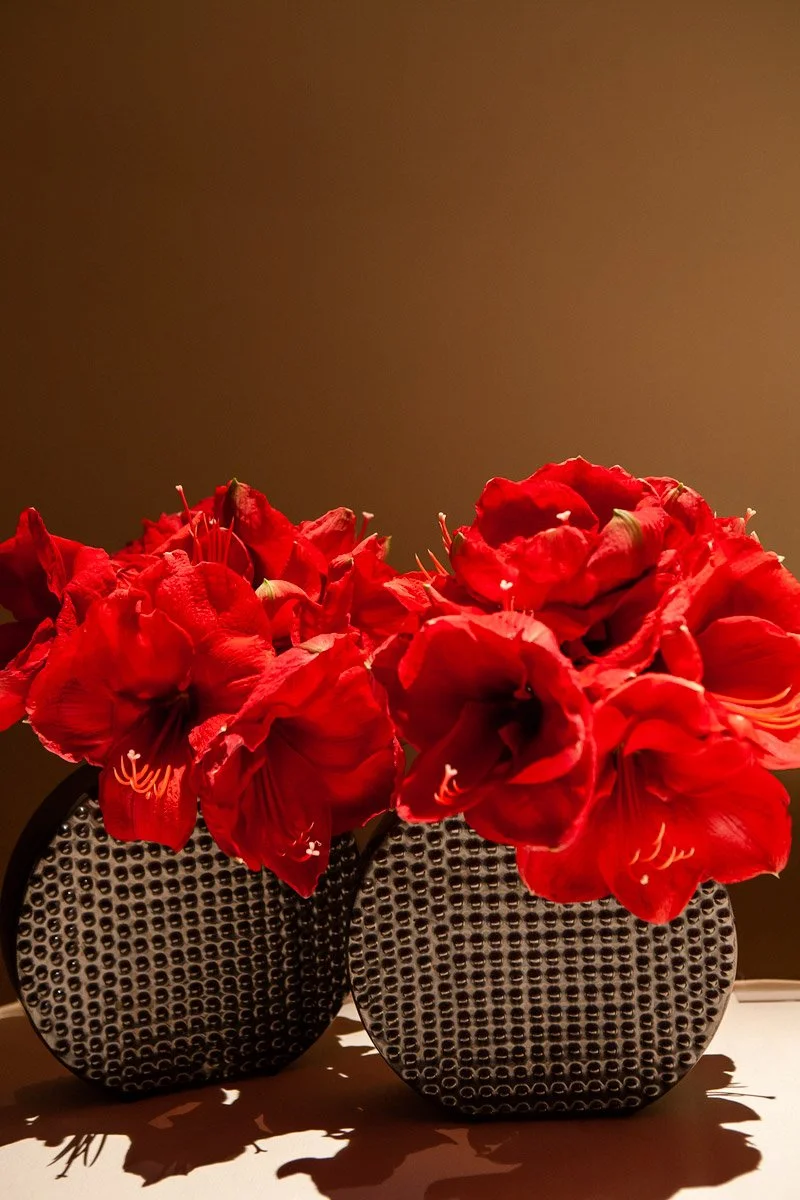  Flowers at Maimonides Medical Center gala at Cipriani Wall Street in NYC 