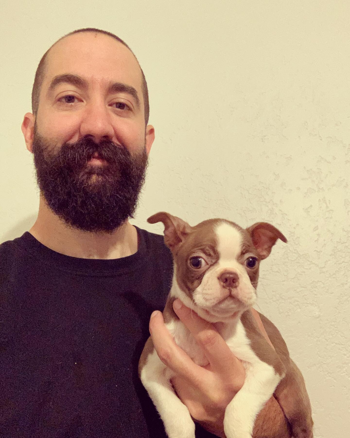 Flashback to Pixie&rsquo;s &ldquo;Gotcha Day&rdquo; Such a cute and friendly puppy. She had such a funny way of hopping around like a bunny. She&rsquo;s currently living the good life with her forever home. #bostonterrierpuppy #bostonterrierpuppies #