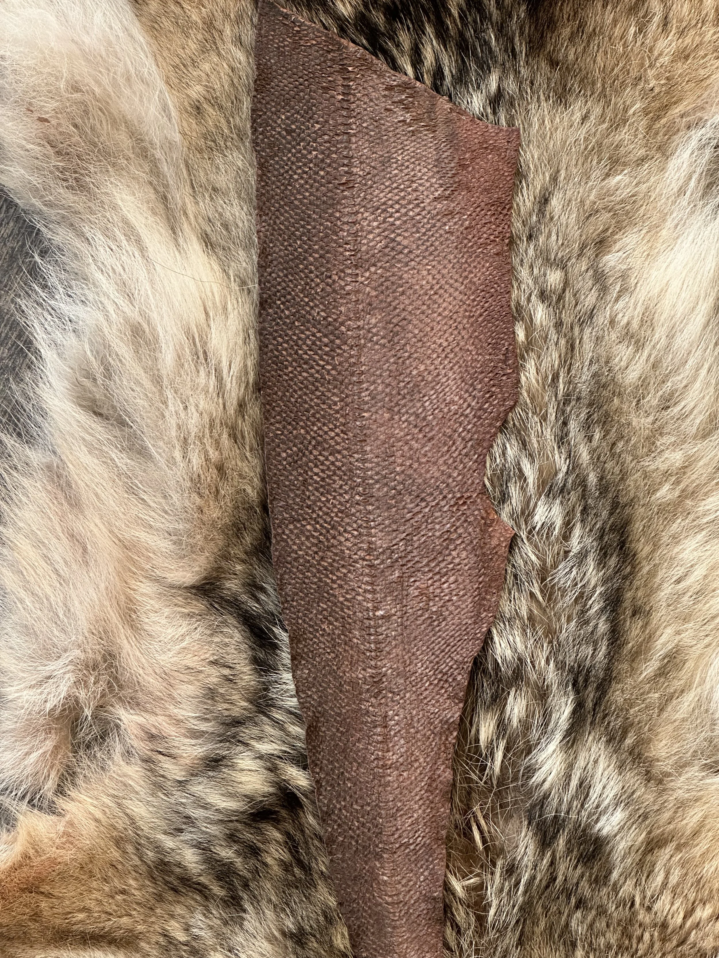 Salmon Skin Leather Tanning Ritual