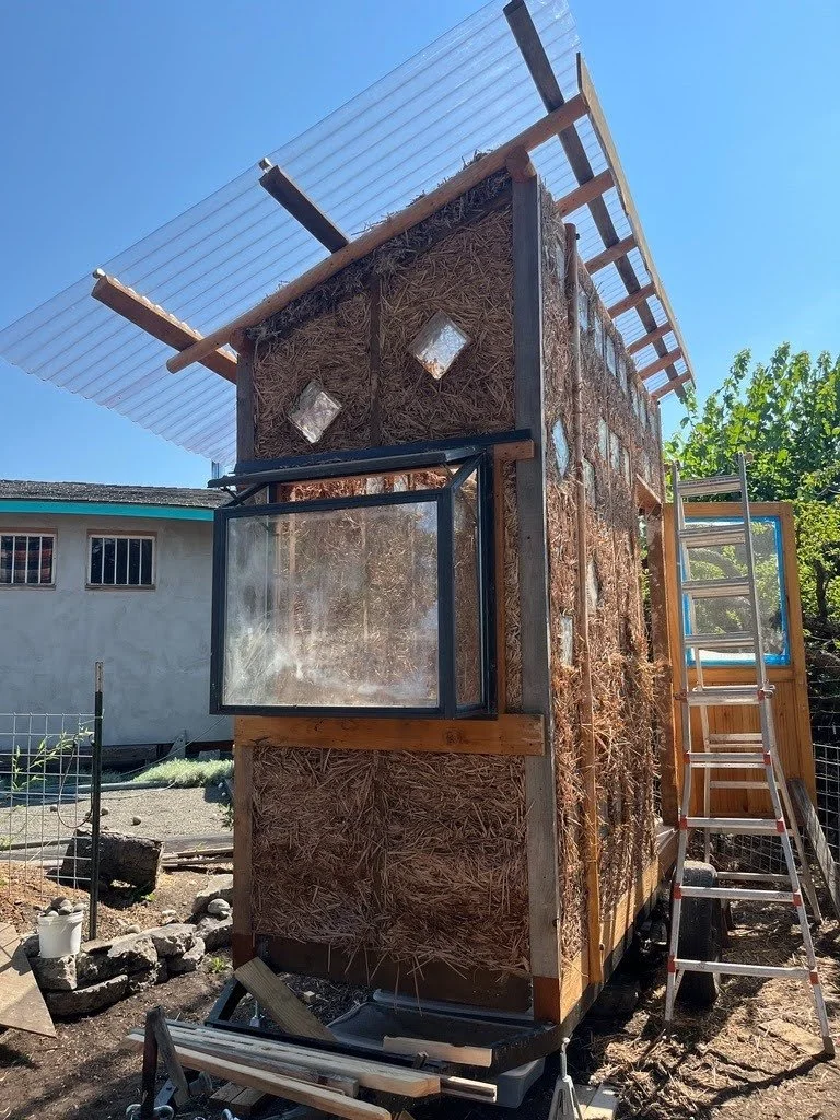 Lime Plaster Workshop