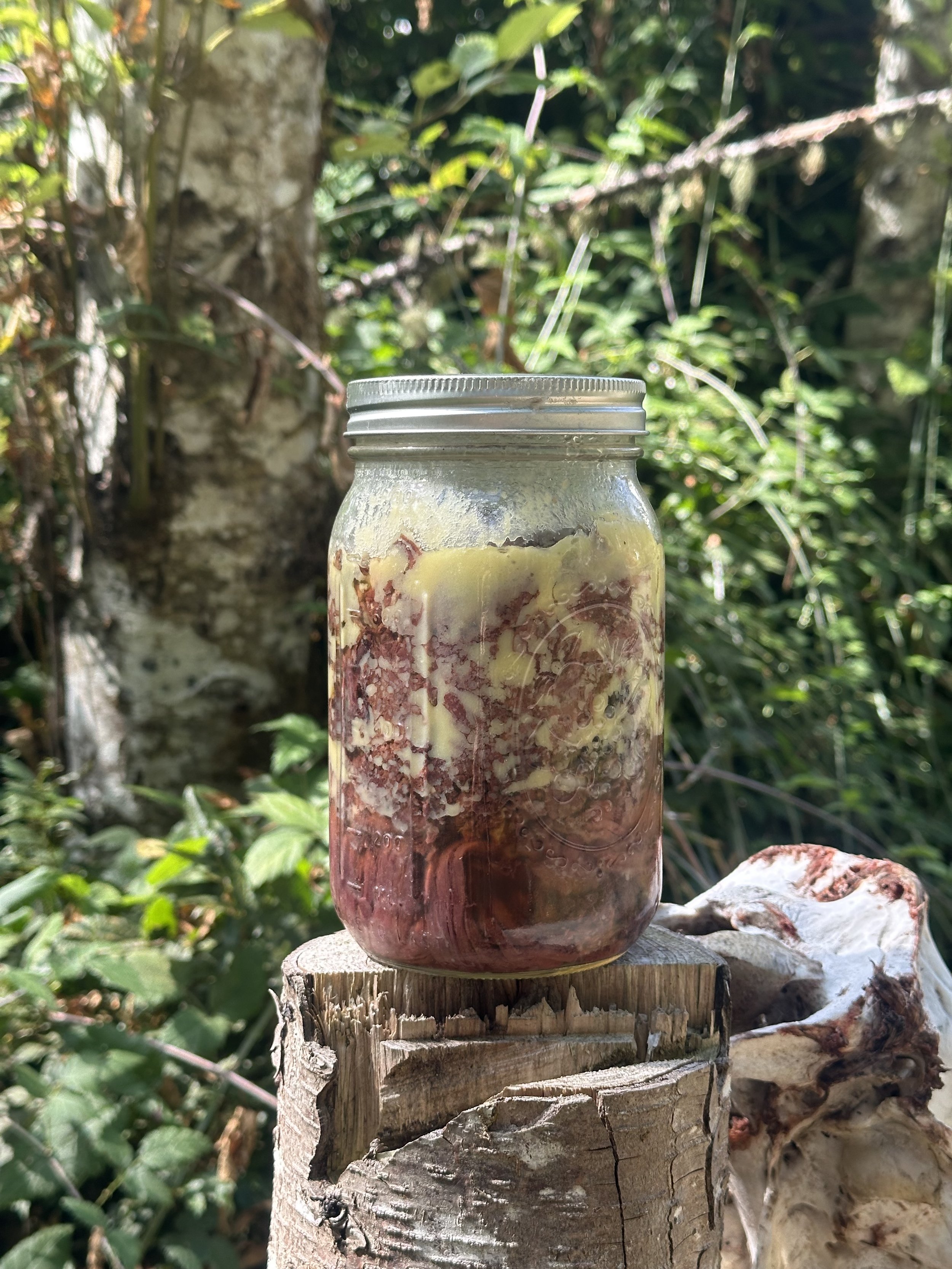 Pressure Canning Meat and Off-Grid Living Workshop