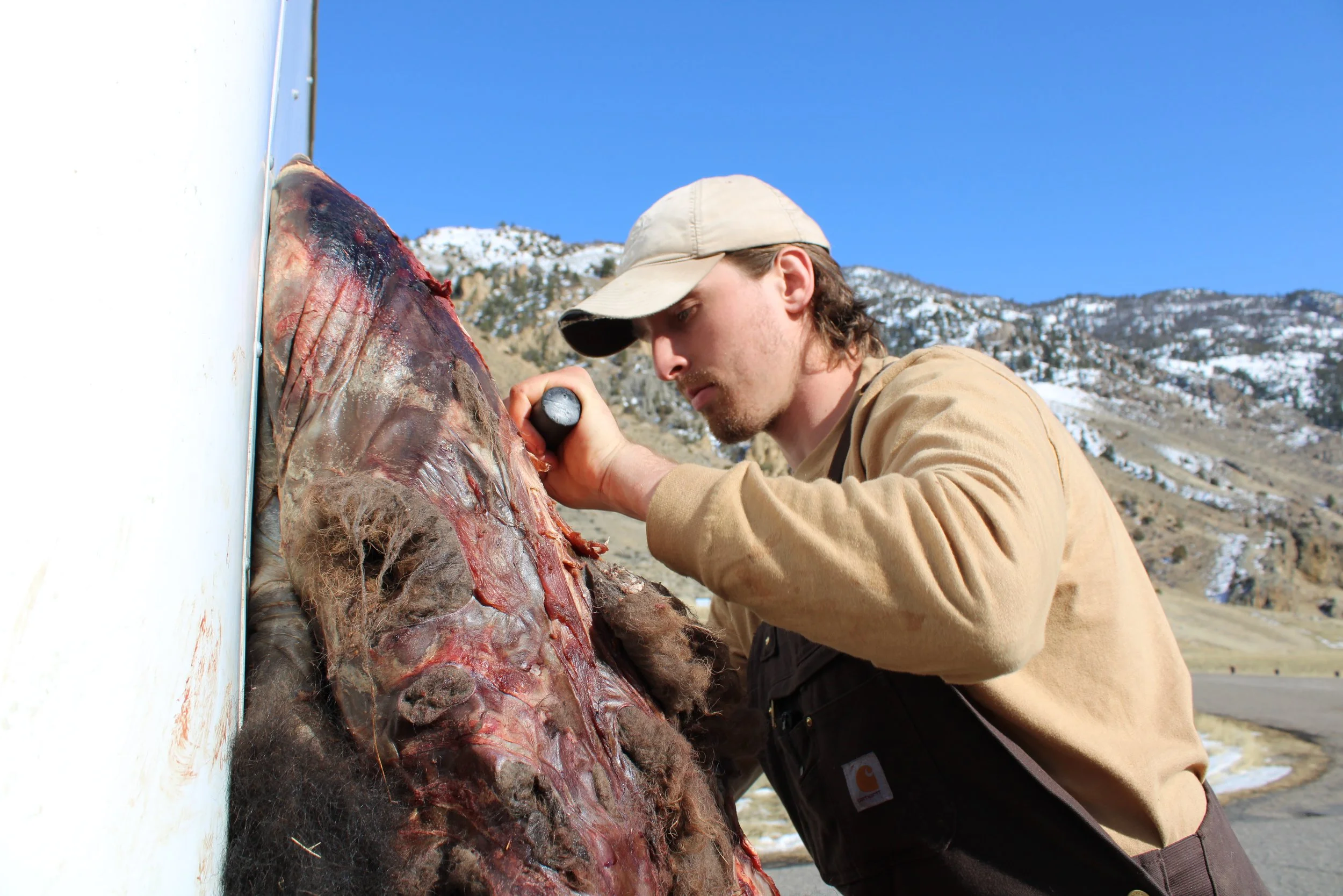 Erik Hide Scrape BB.JPG