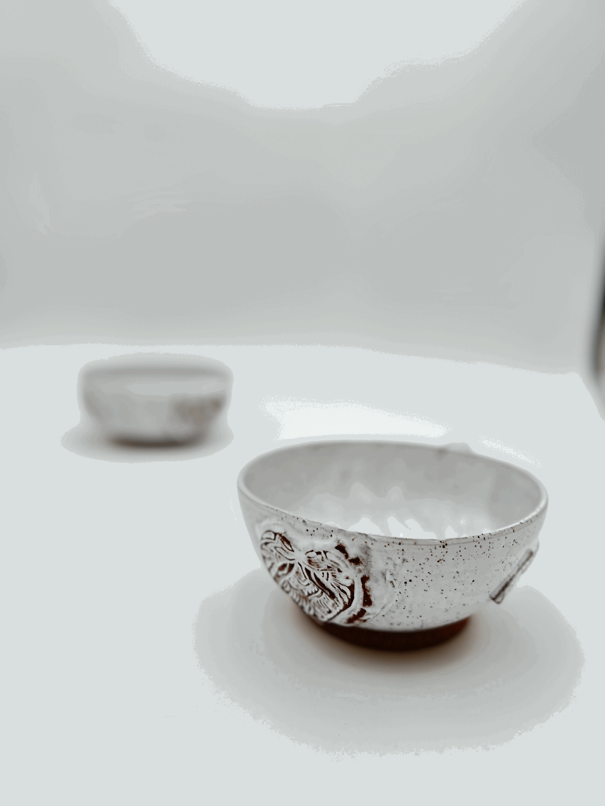 tempImageYvmTdm.gif