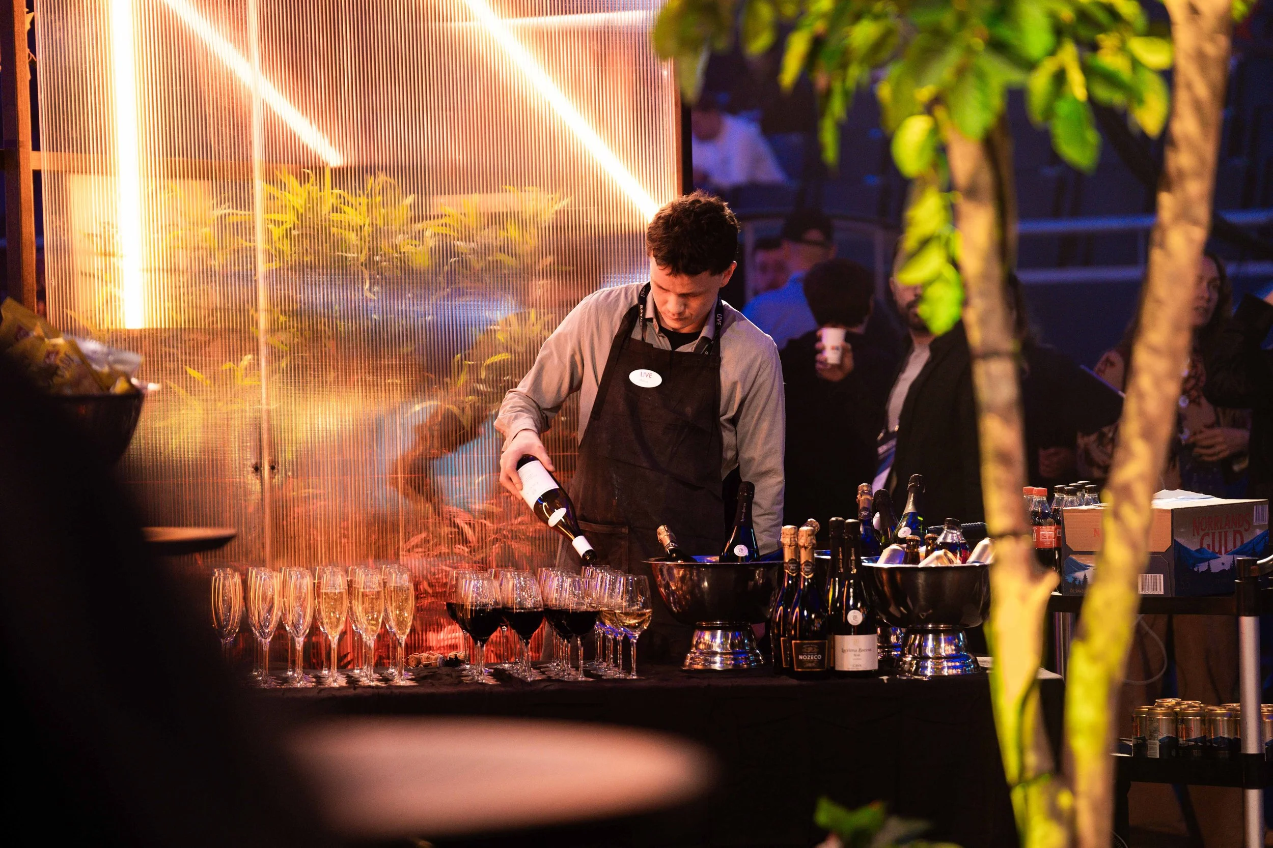 Techarena Photos2 Small File Size-44.jpg