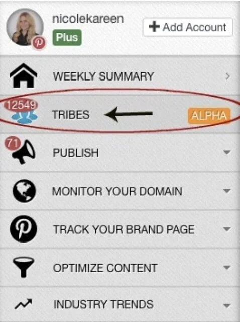 Tailwind Tribes: Everything You Need To Know To Grow Your Blog (+20 ...