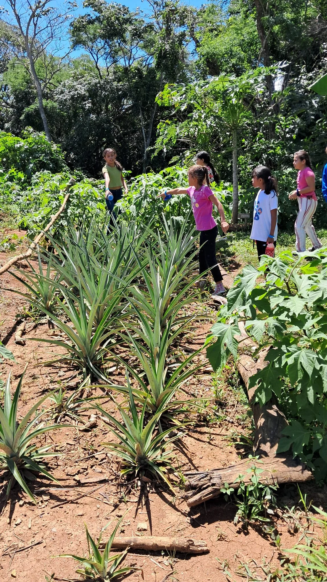 WhatsApp Image 2025-09-28 at 18.51.52.jpeg