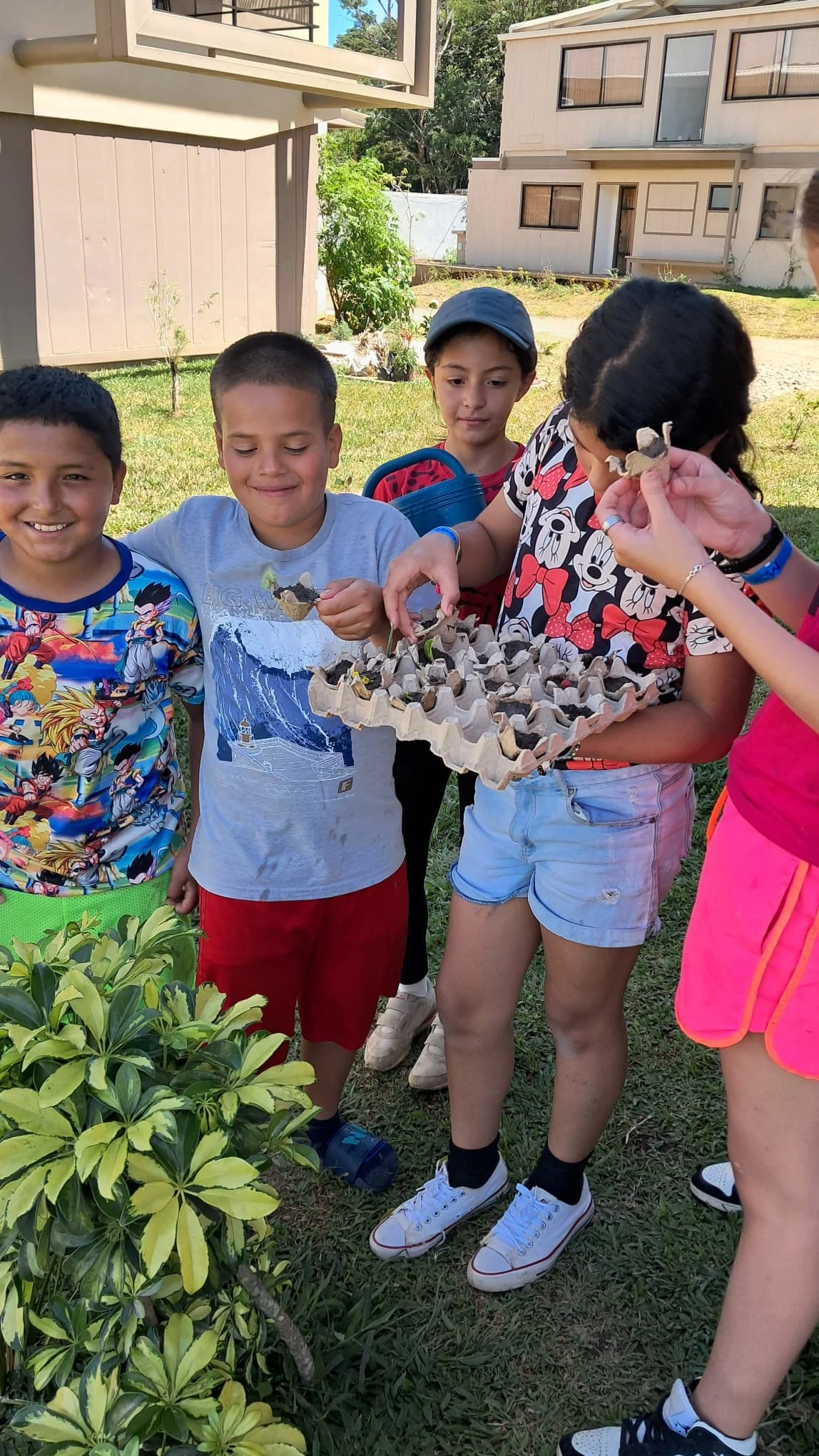 WhatsApp Image 2025-09-28 at 18.54.16.jpeg