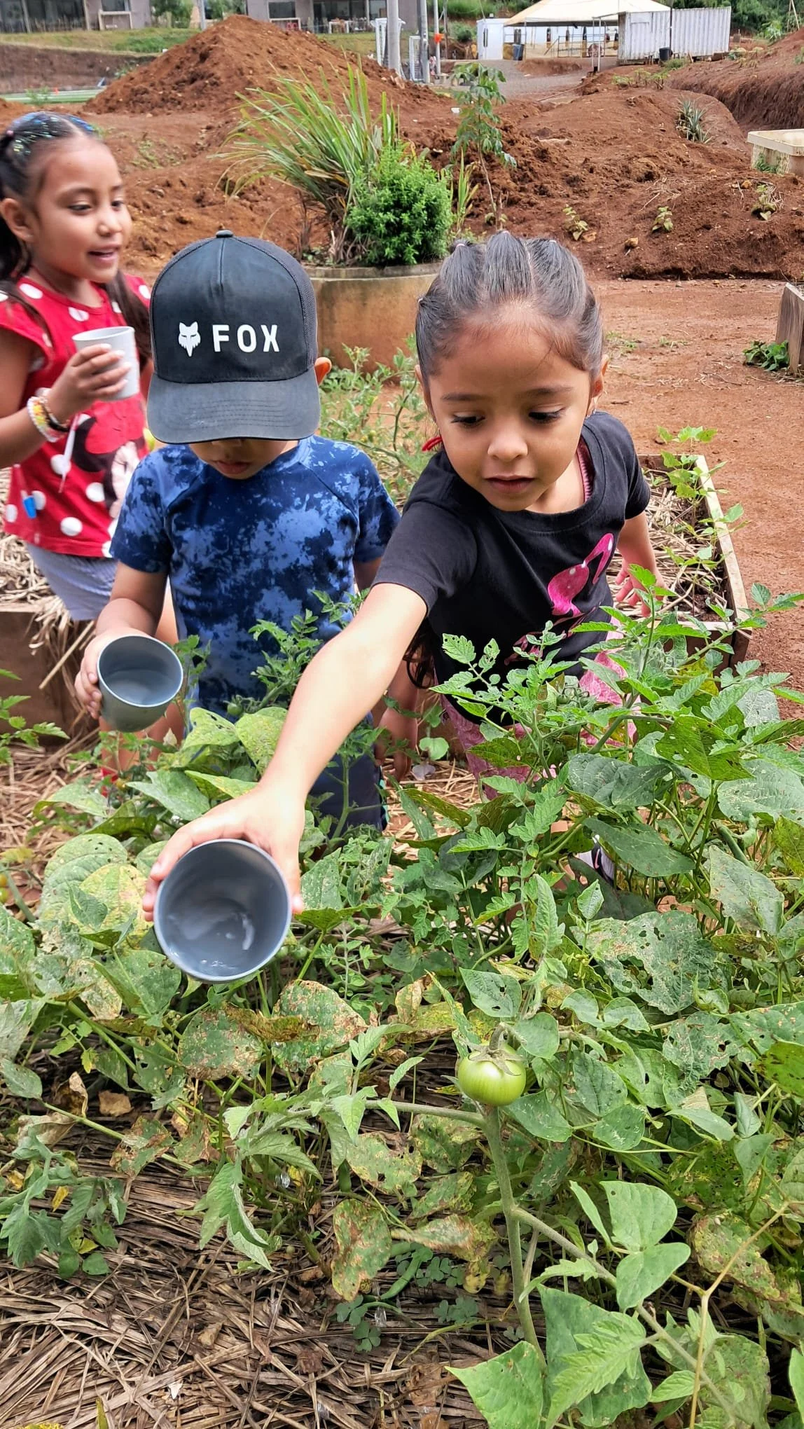 WhatsApp Image 2025-09-28 at 18.49.43.jpeg