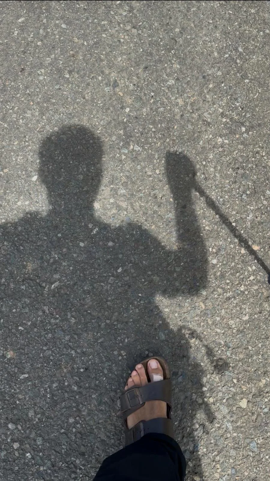 WhatsApp Image 2025-09-29 at 13.35.25.jpeg