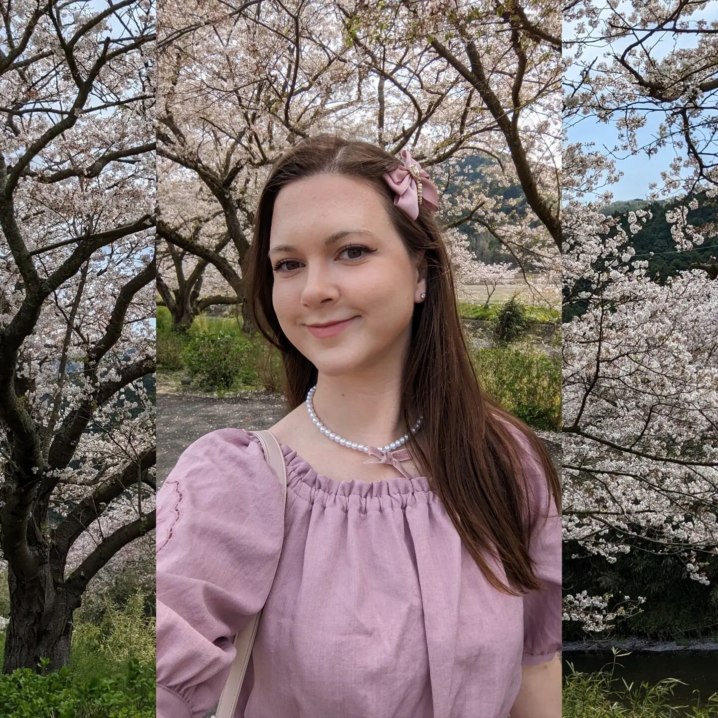 Took myself on a little sakura date today. They were so pretty. It was also so relaxing to watch the petals fall down like snow. 🌸

#sakura #matsuzaki #japan #japanalt #japanesecherryblossom