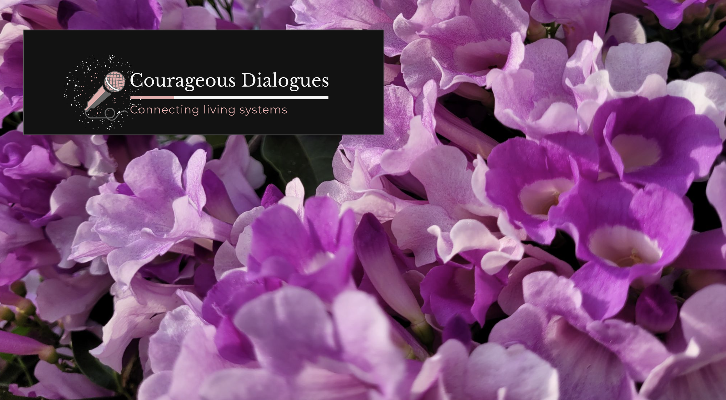 This is possibly a Garlic Vine Plant.