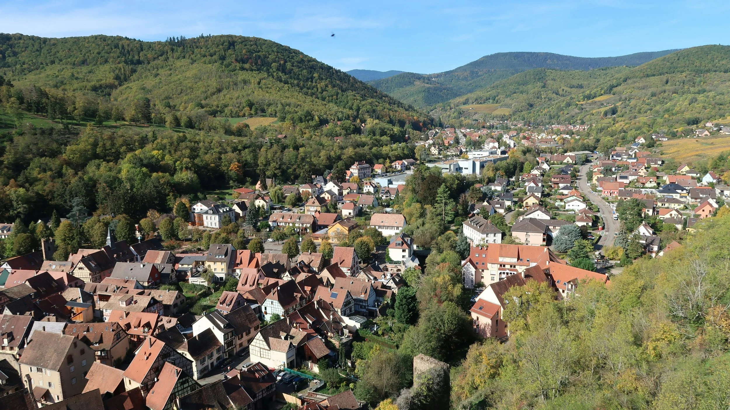 Aerial view of a village surrounded by forested hills during the Alsace food tour.