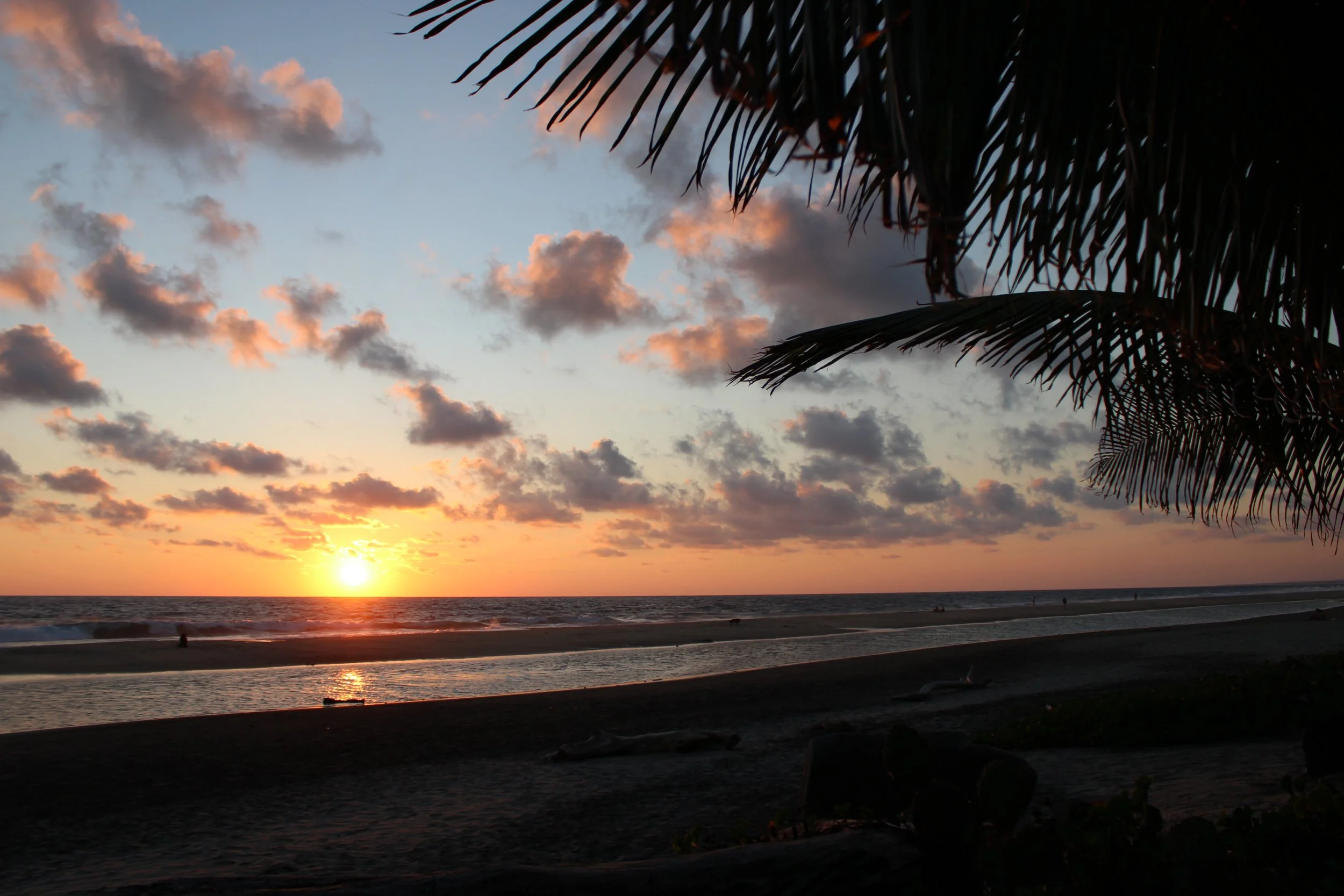 The beaches and birds of southern Mexico