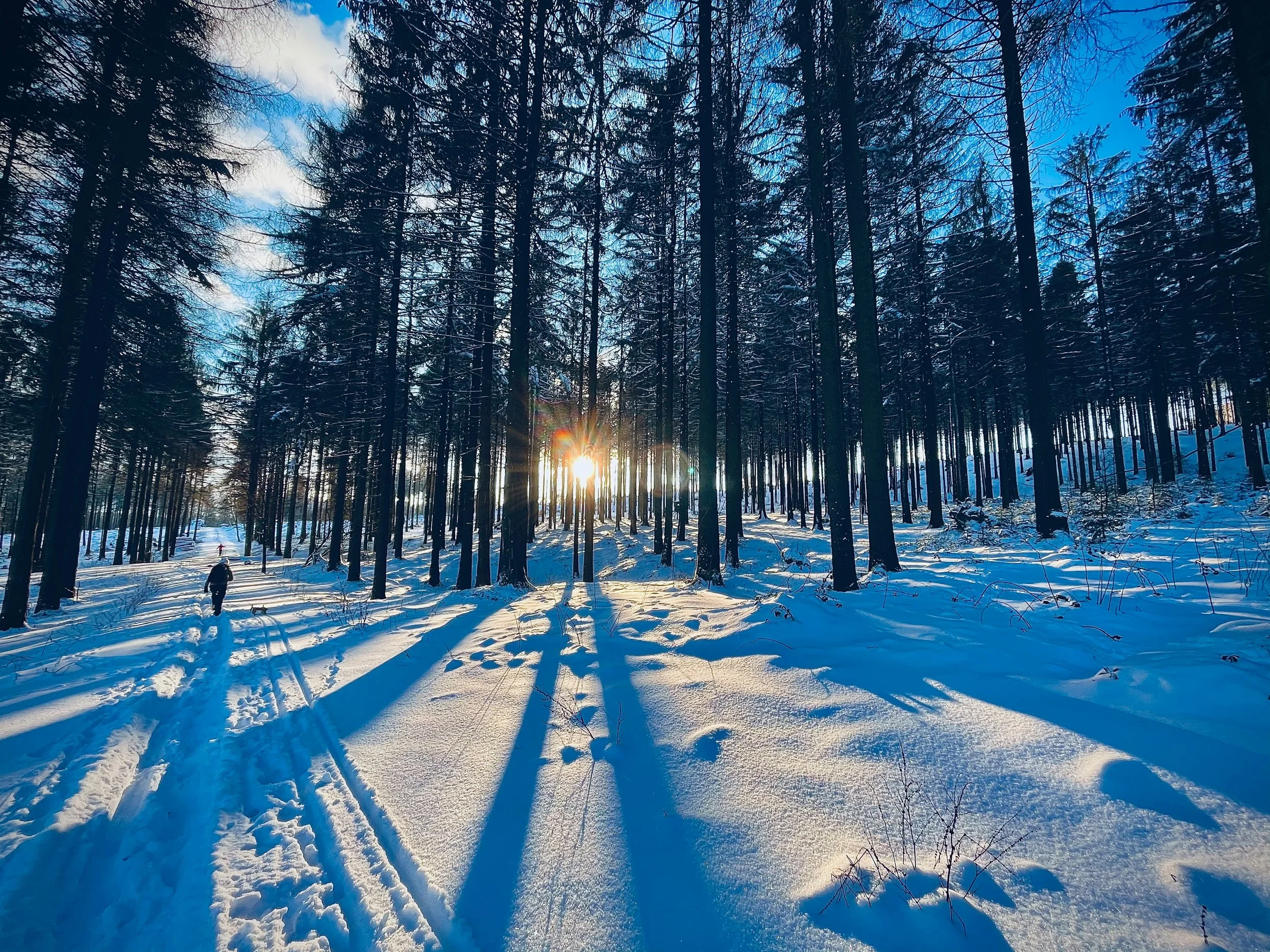 Cross Country Skiing in the Swedish Mountains
