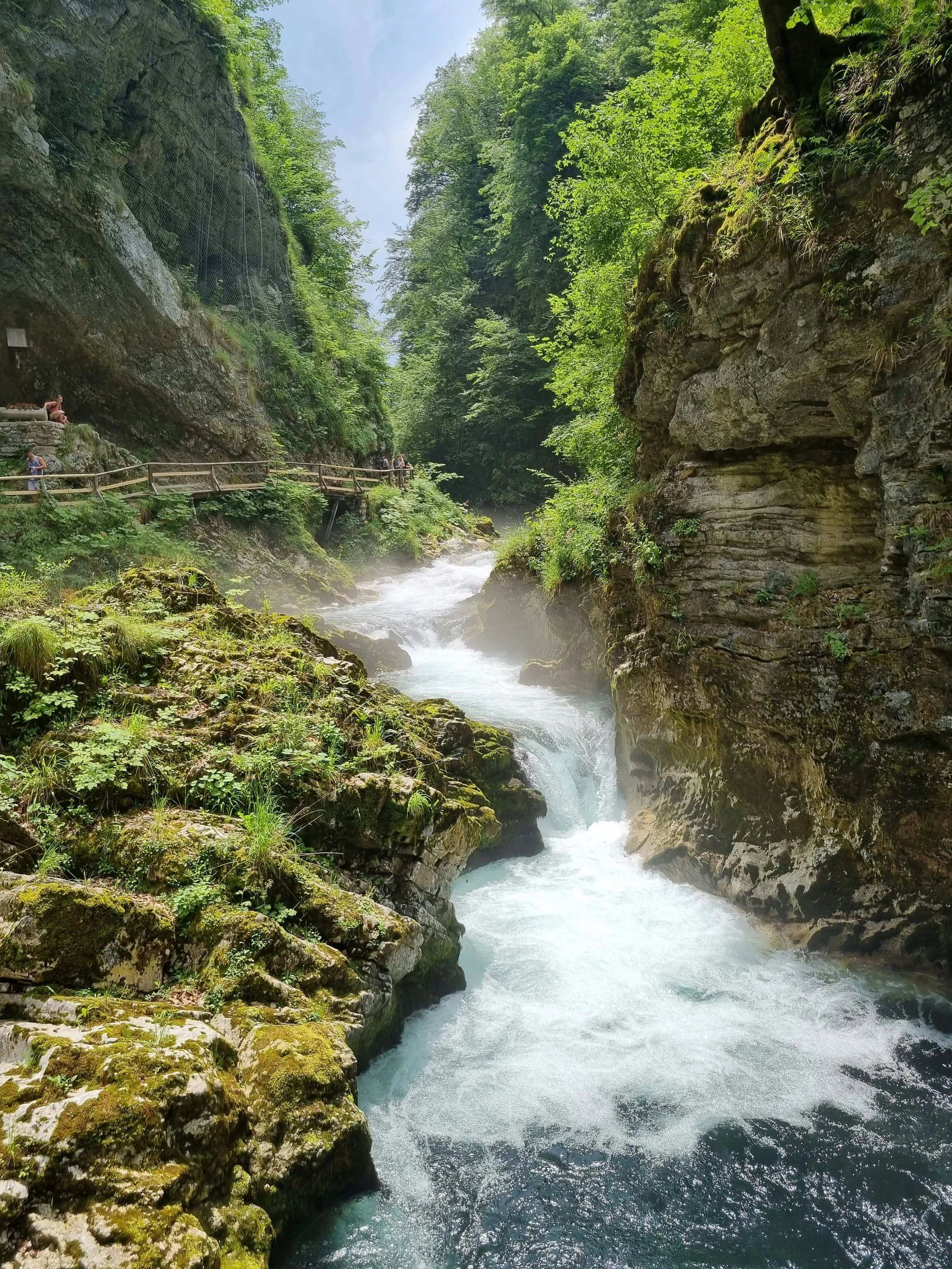Rushing water flowing through the narrow Vintgar Gorge surrounded by moss-covered rocks.