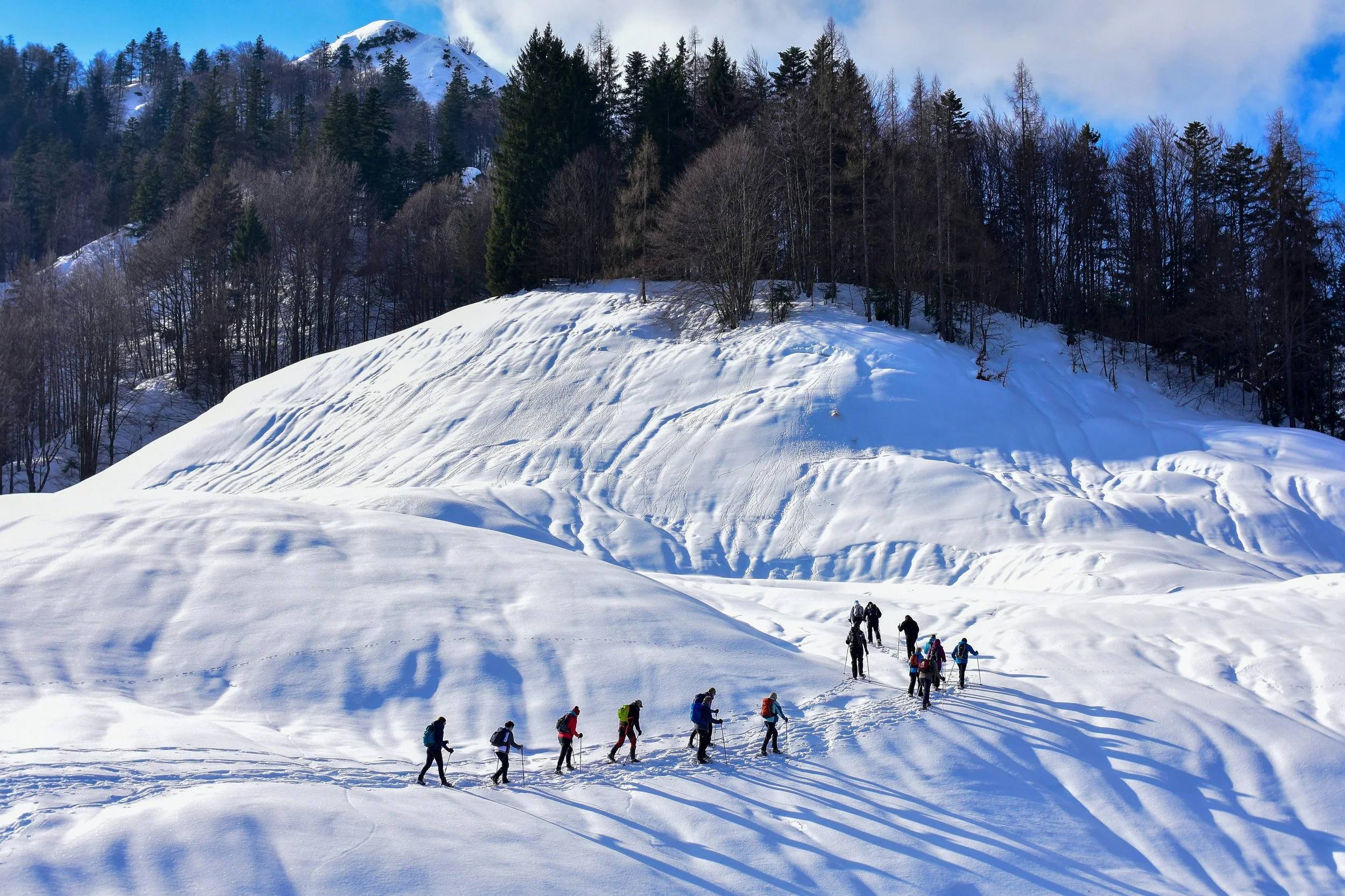 sandra-grunewald-iLh4RcF1VVQ-unsplash.jpg