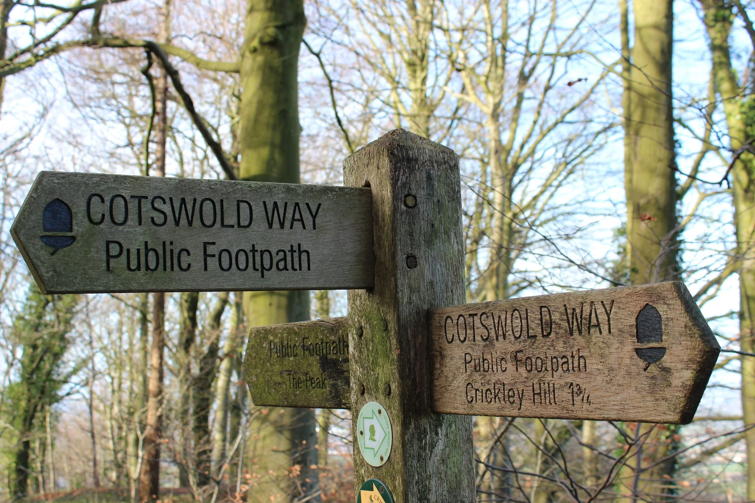 trek_jason-sign-post-6931542.jpg