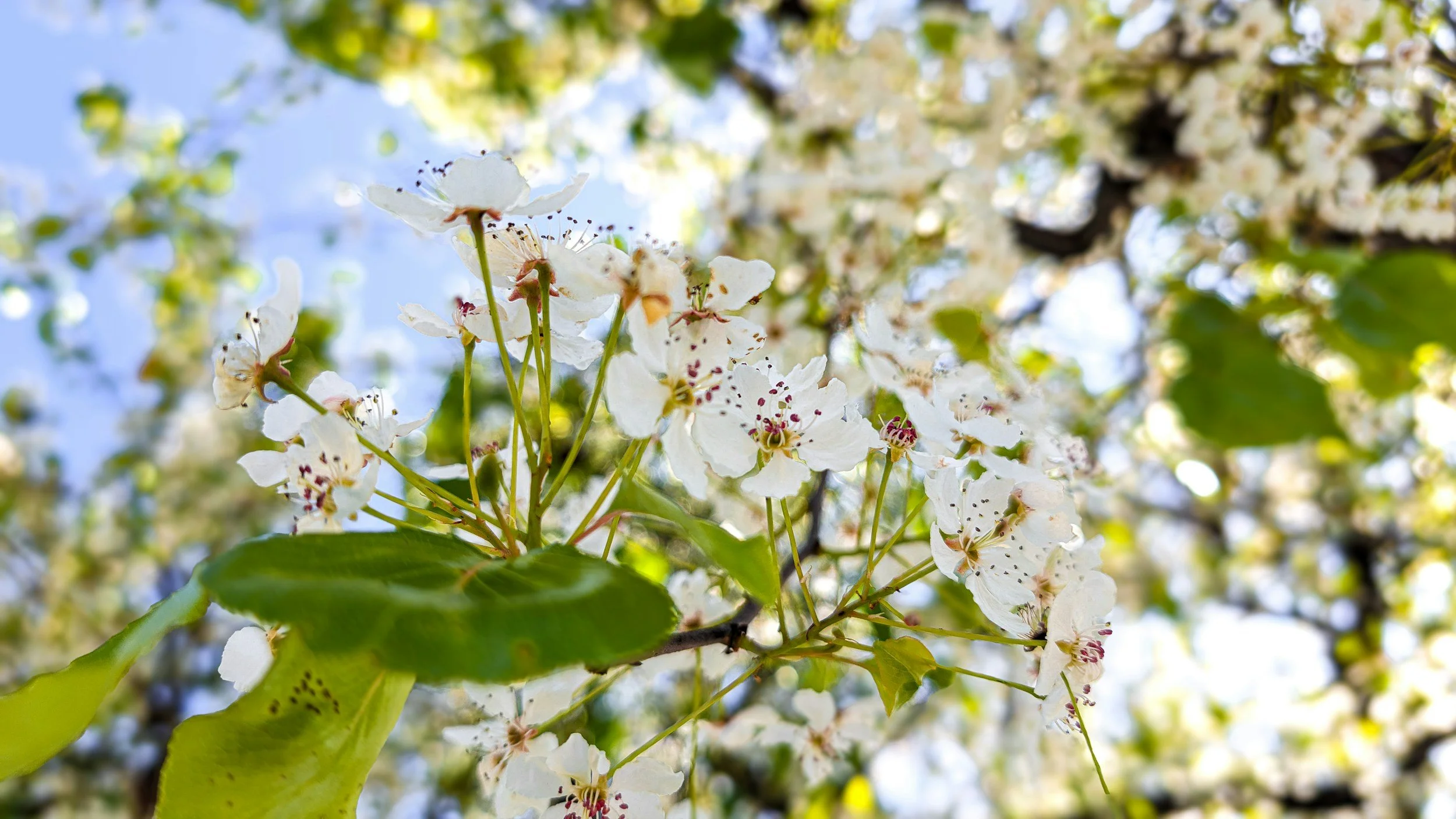 Spring Break Begins!