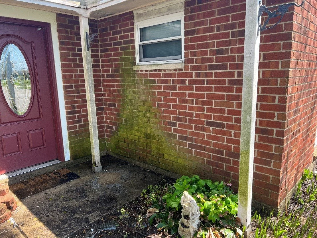 BEFORE-greenfrontdoor.jpg