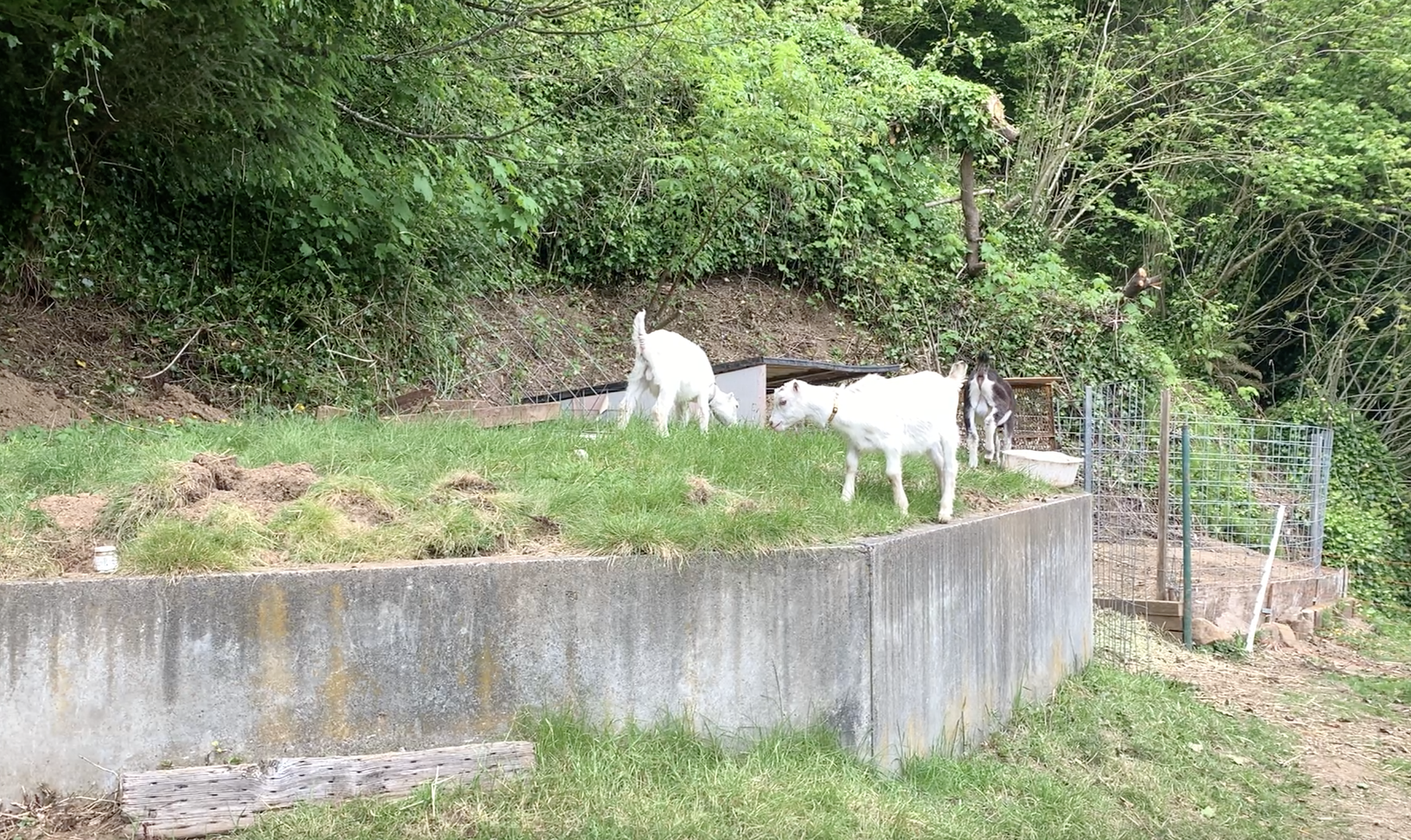 5/27/22 - The Sand Filter